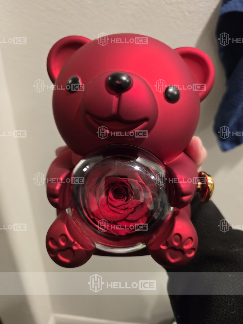 Helloice Review Image