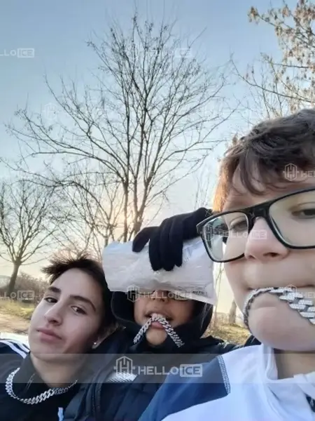 Helloice Review Image