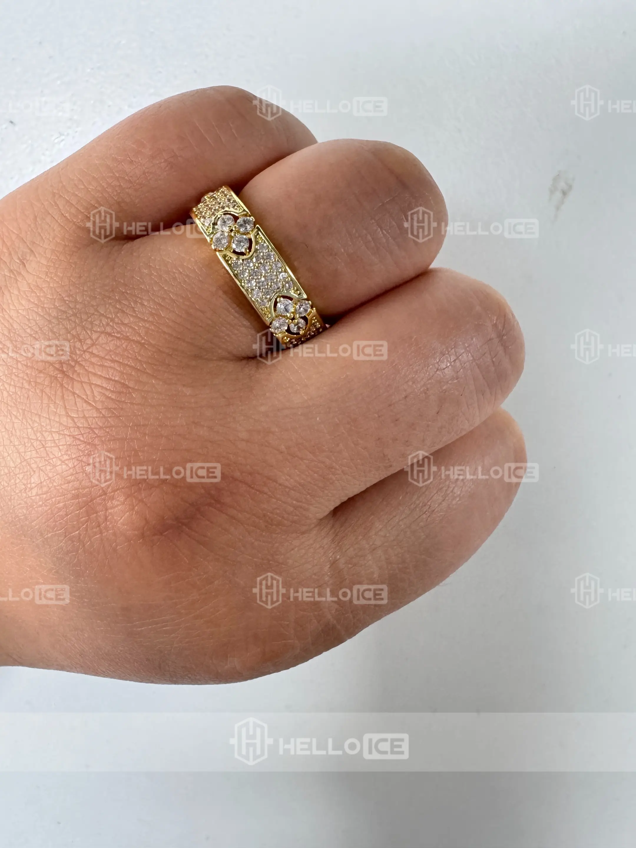 Helloice Review Image