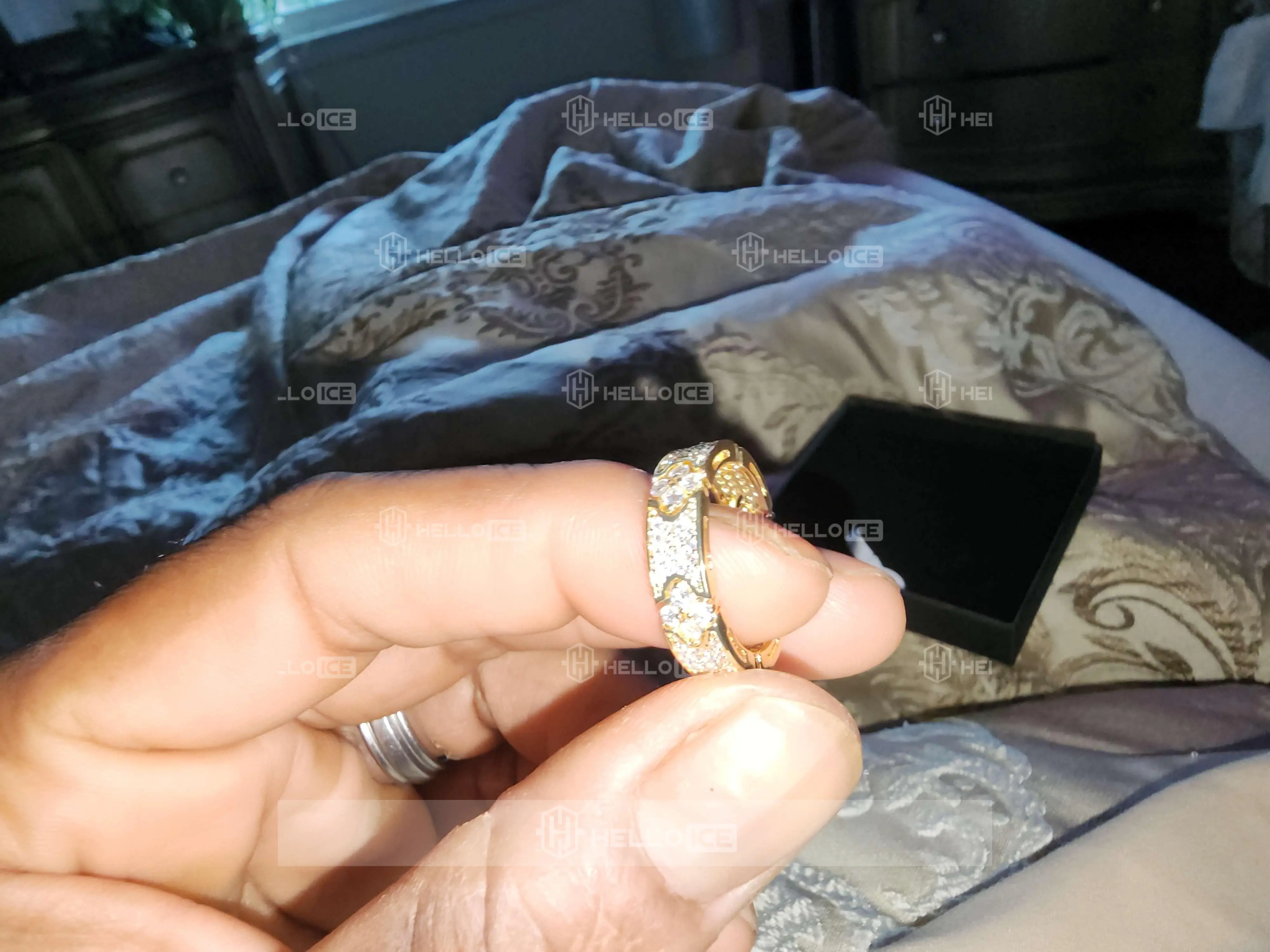 Helloice Review Image