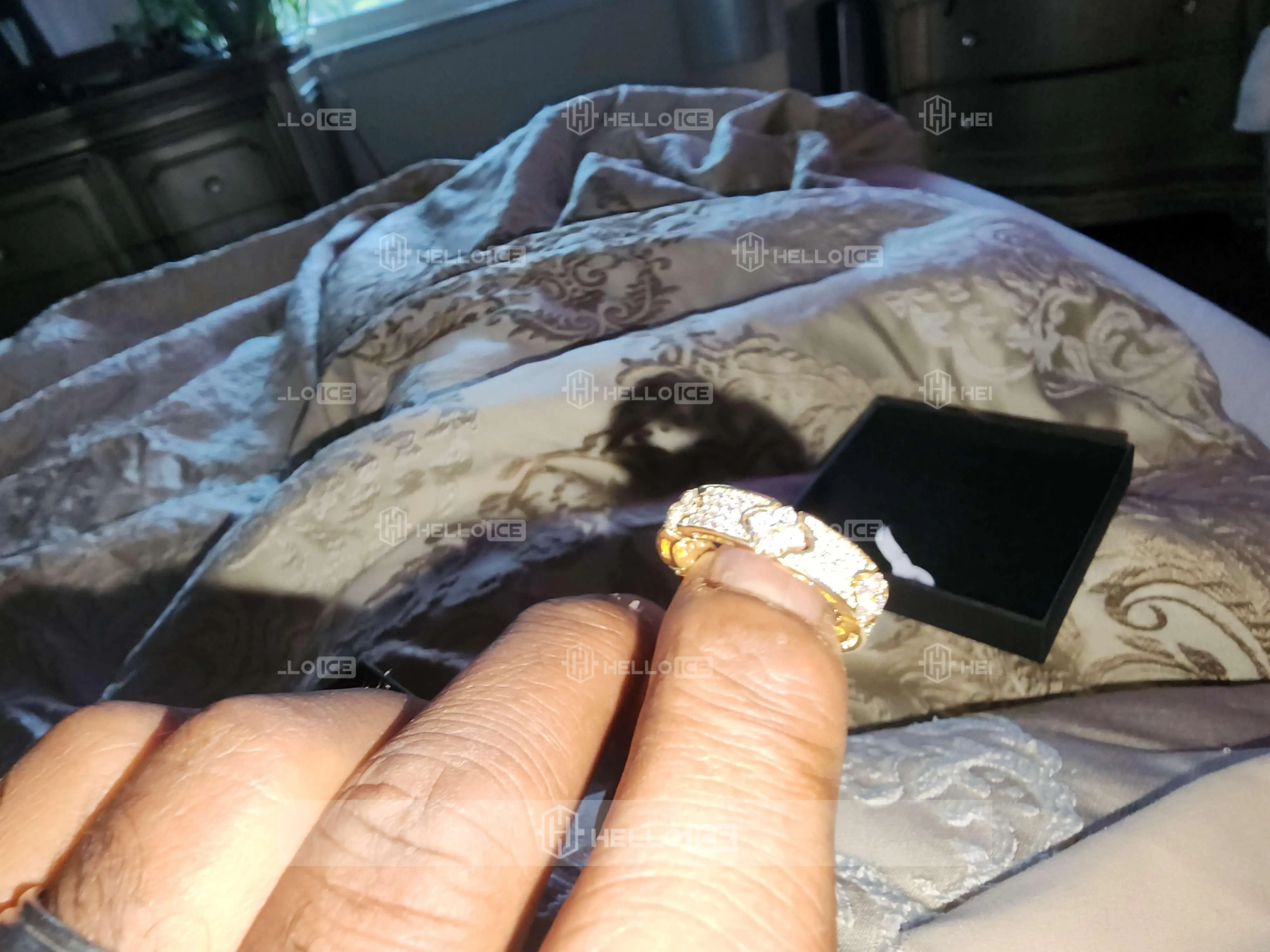 Helloice Review Image