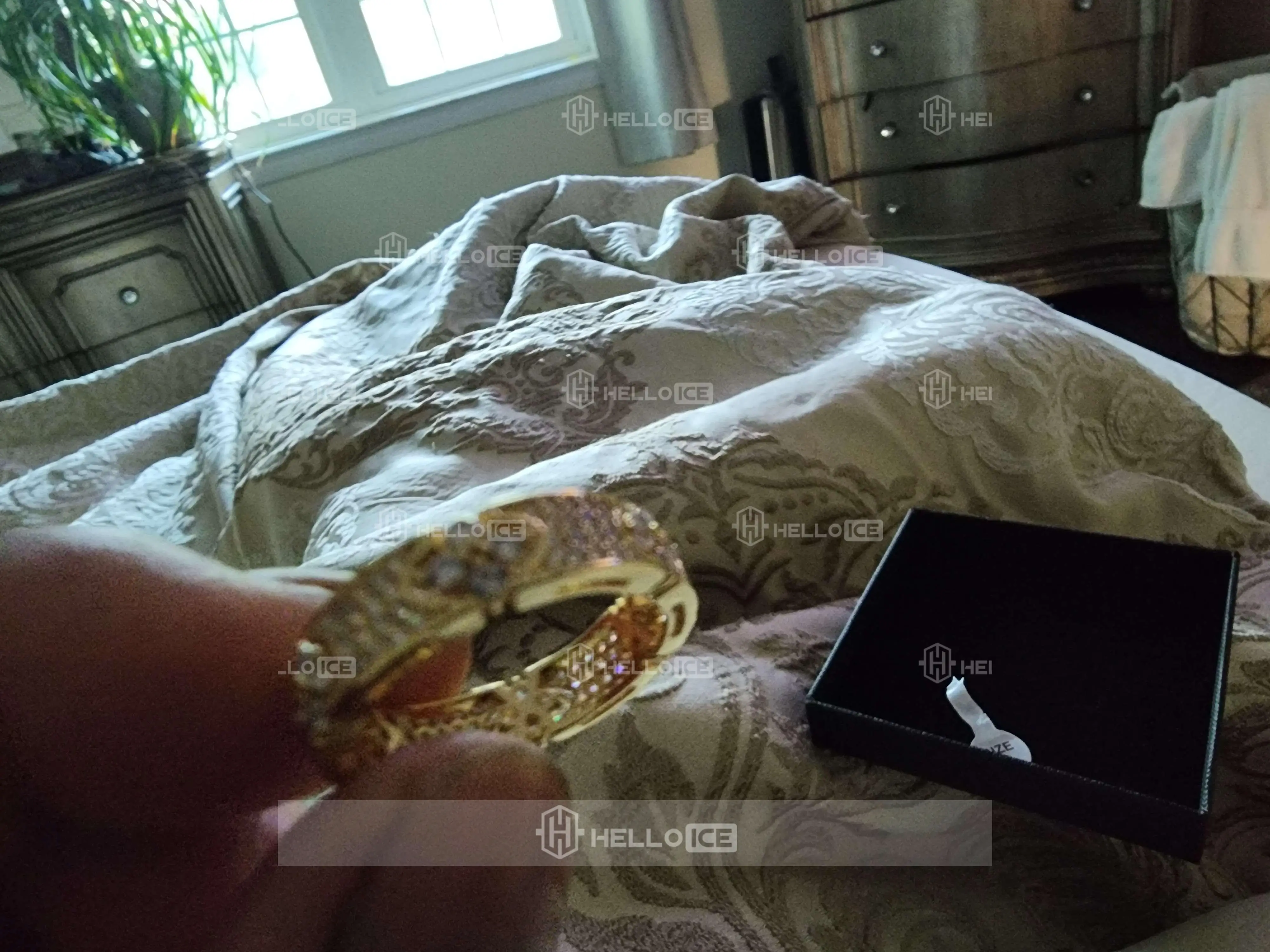 Helloice Review Image