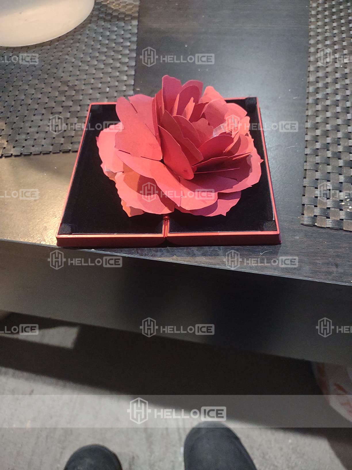 Helloice Review Image