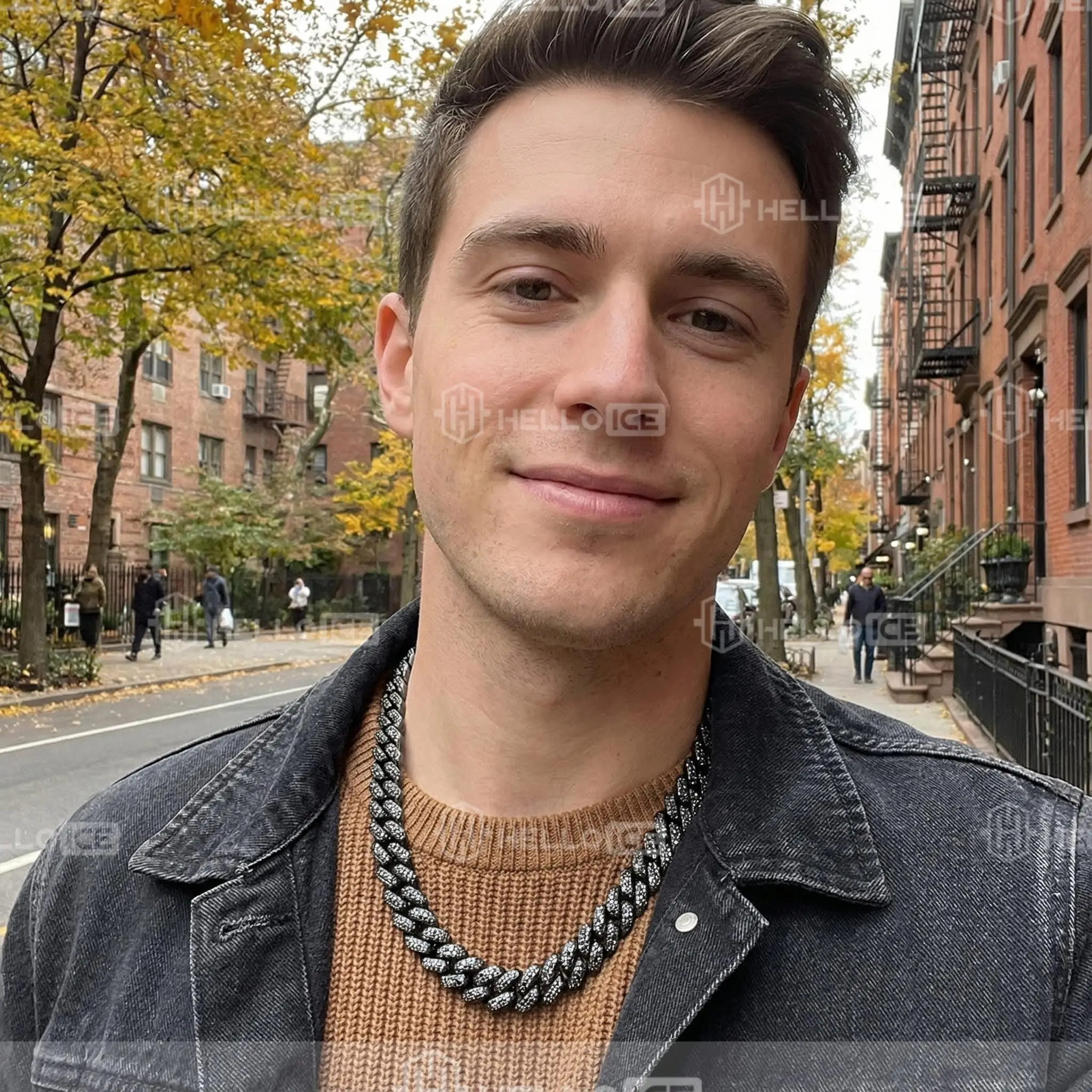 Helloice Review Image