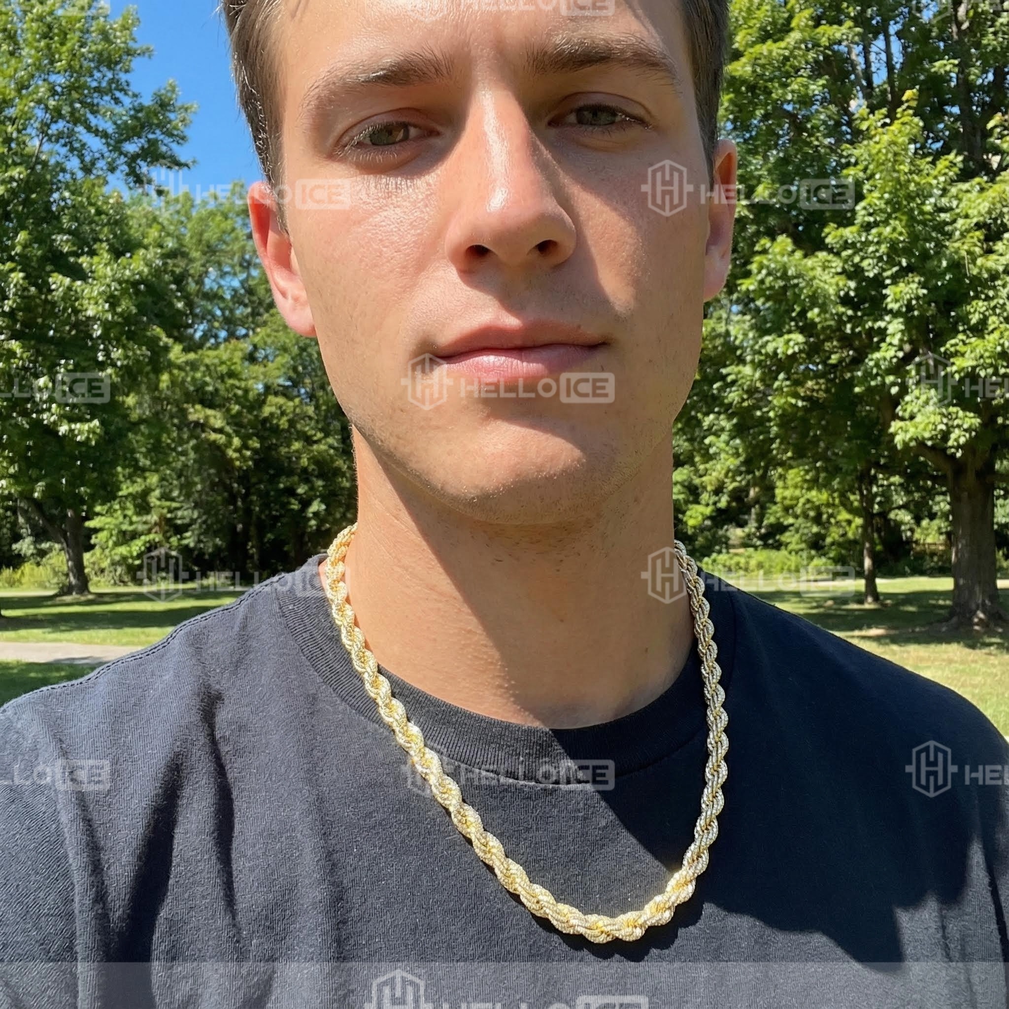 Helloice Review Image