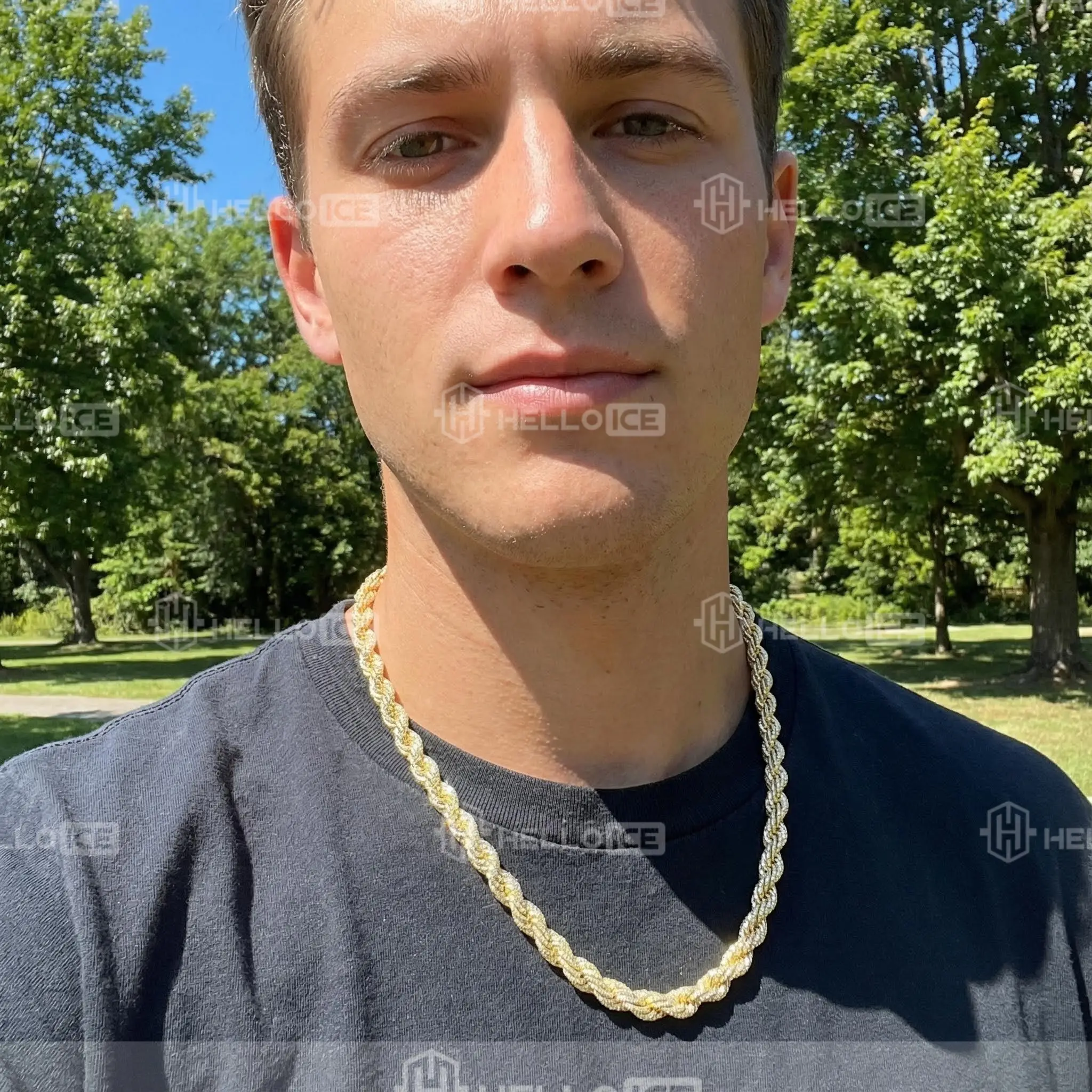 Helloice Review Image