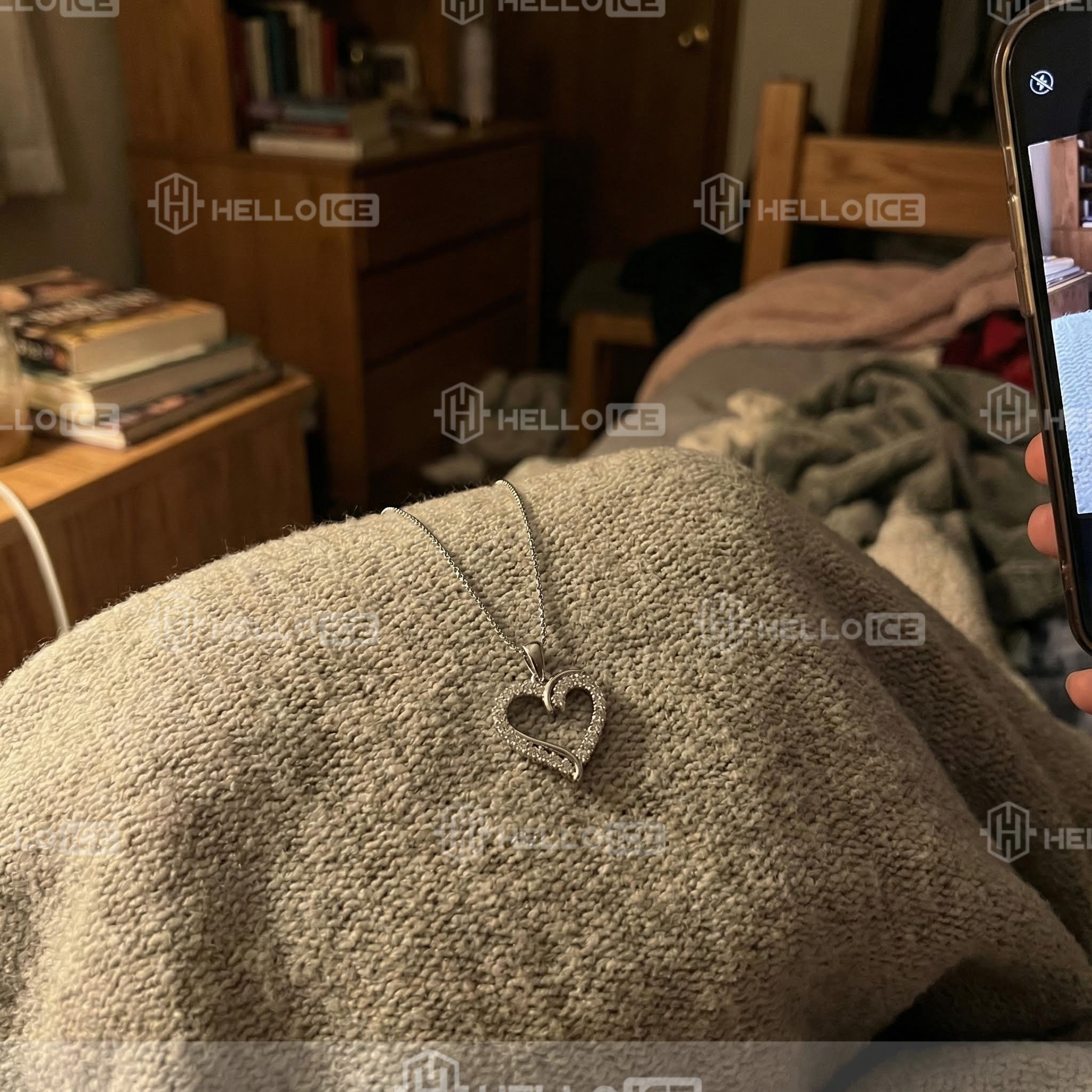 Helloice Review Image