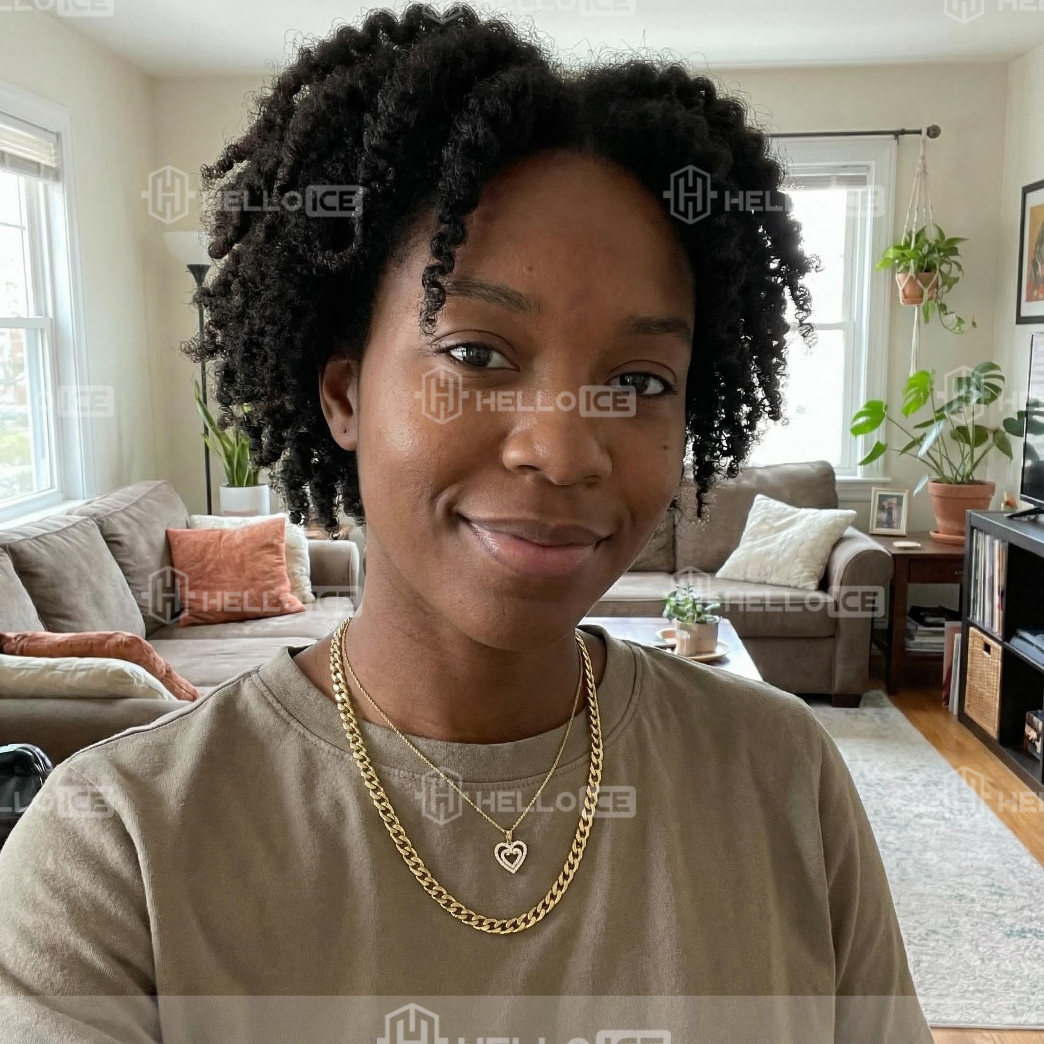 Helloice Review Image