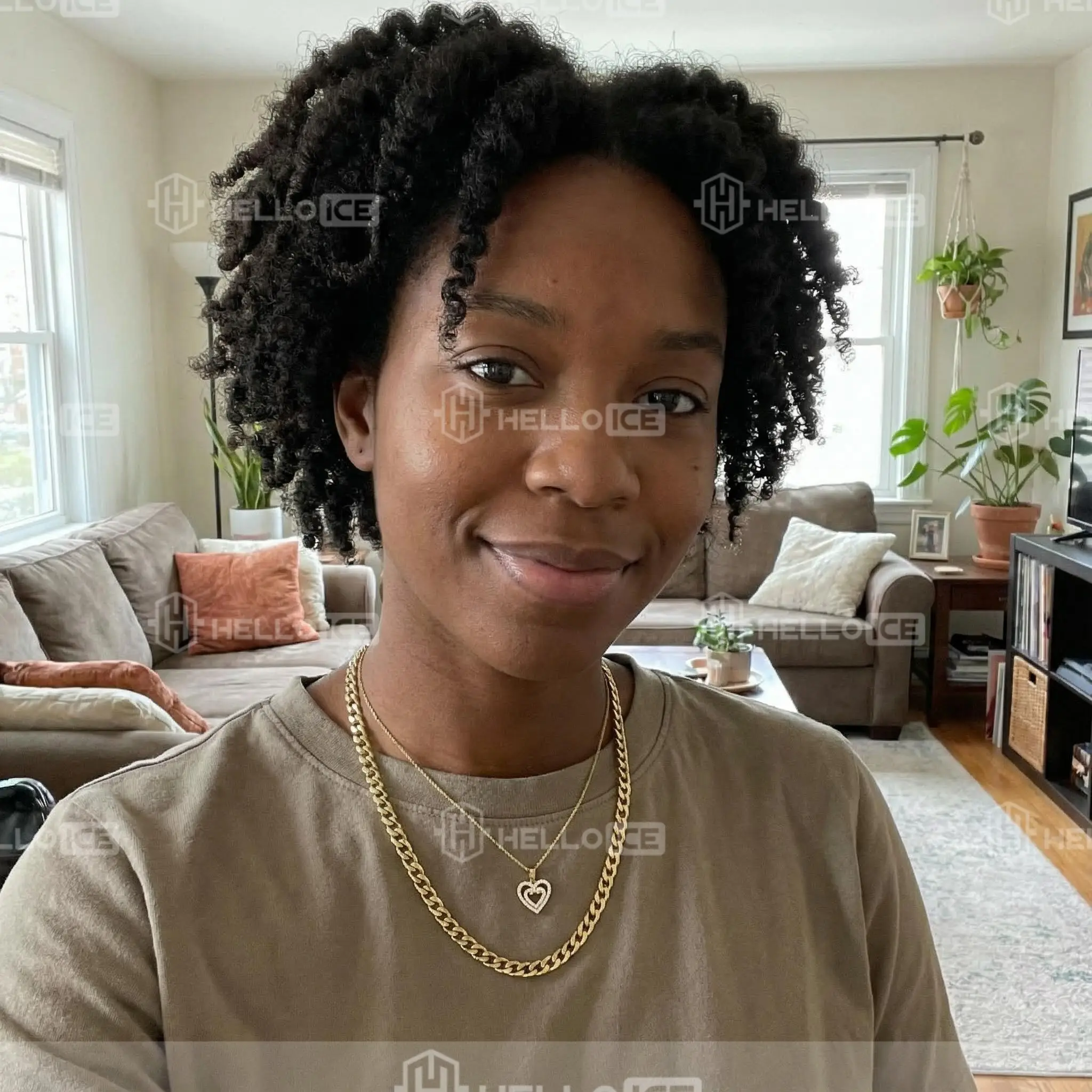 Helloice Review Image