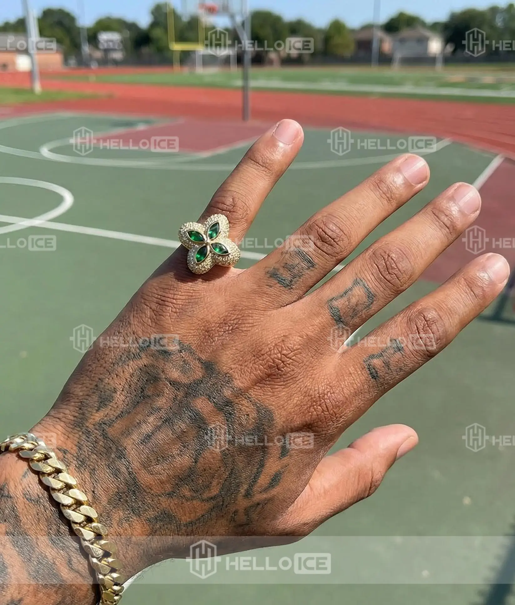 Helloice Review Image