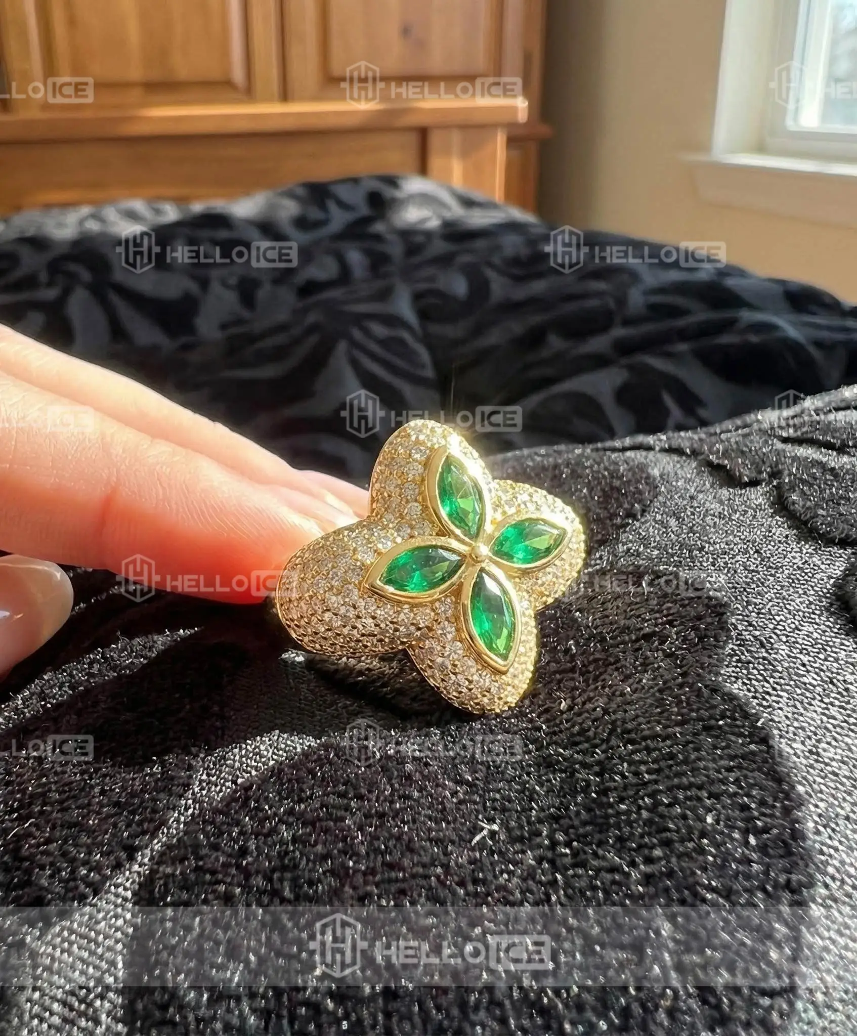 Helloice Review Image