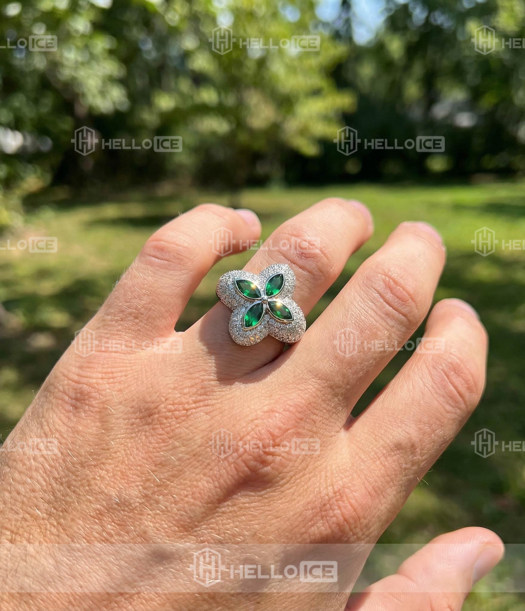 Helloice Review Image