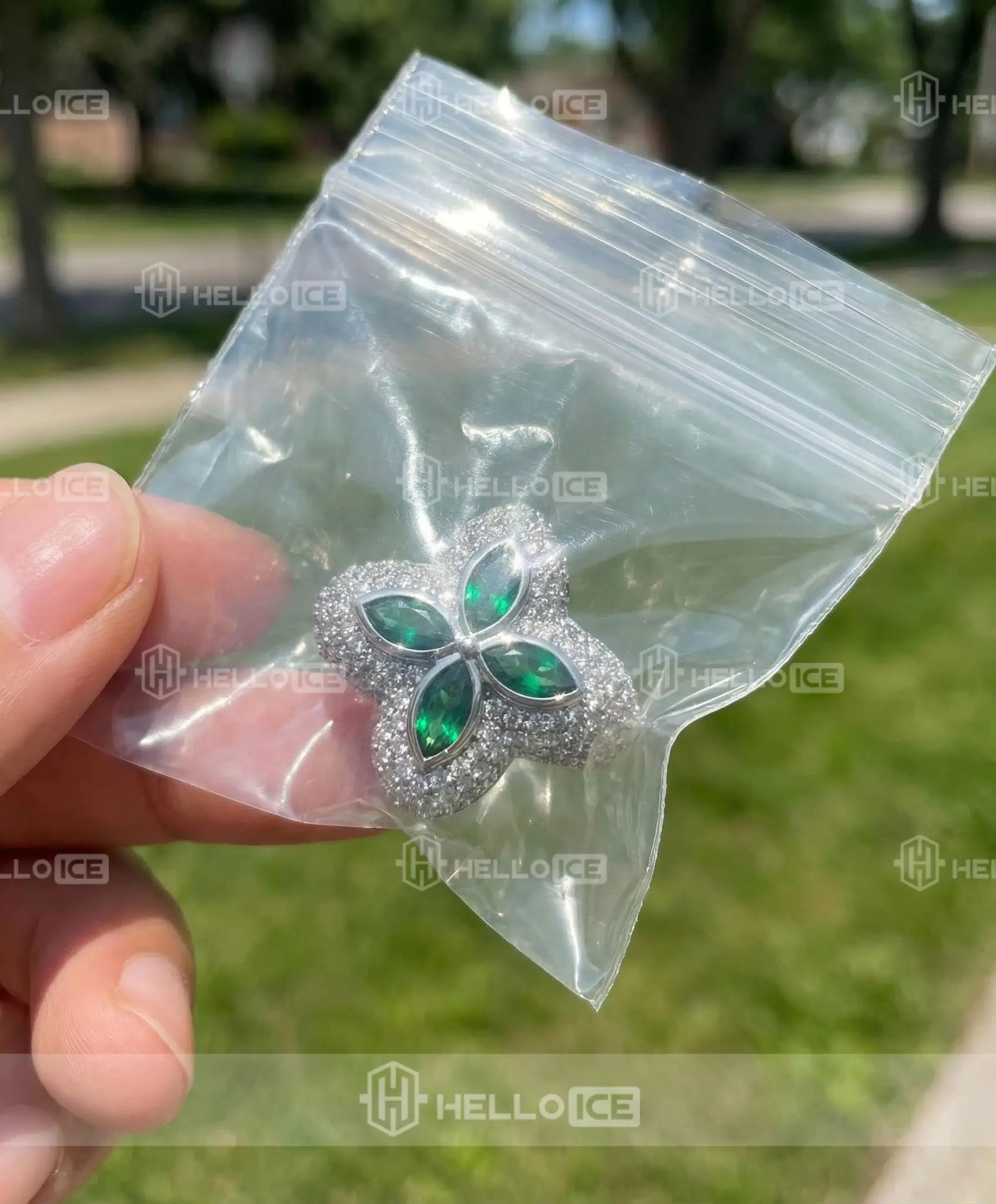 Helloice Review Image