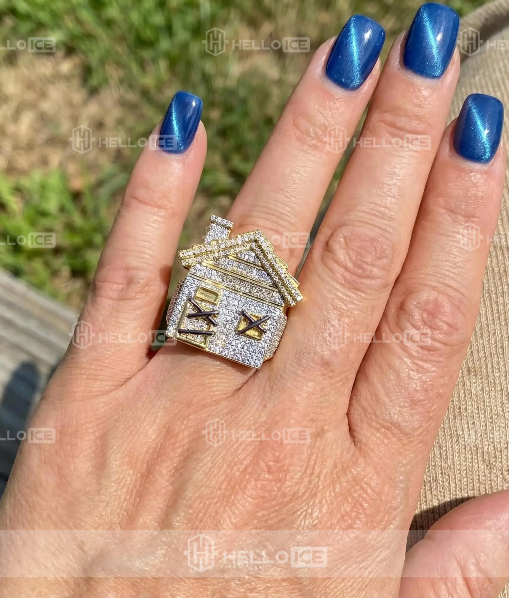 Helloice Review Image