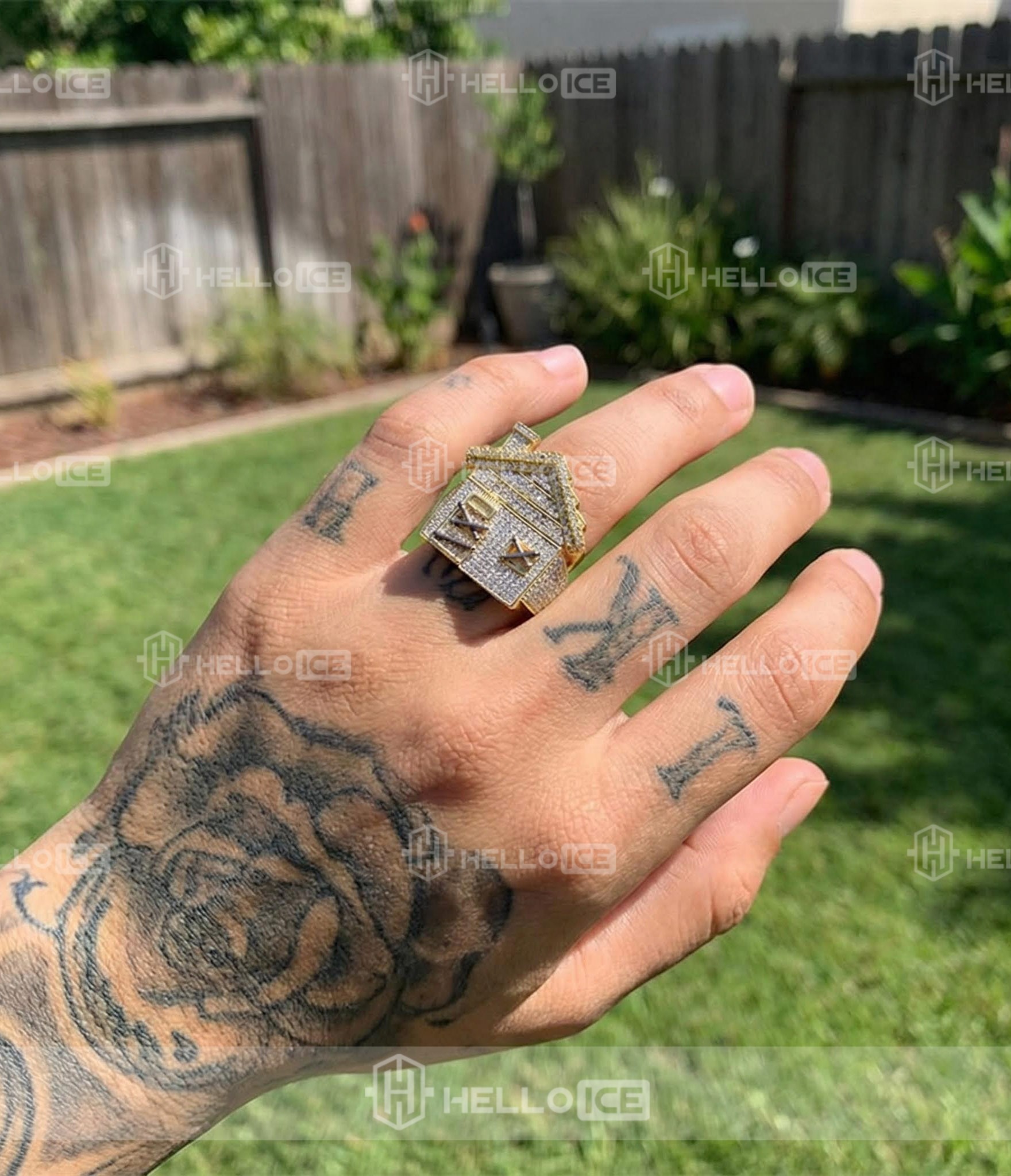 Helloice Review Image