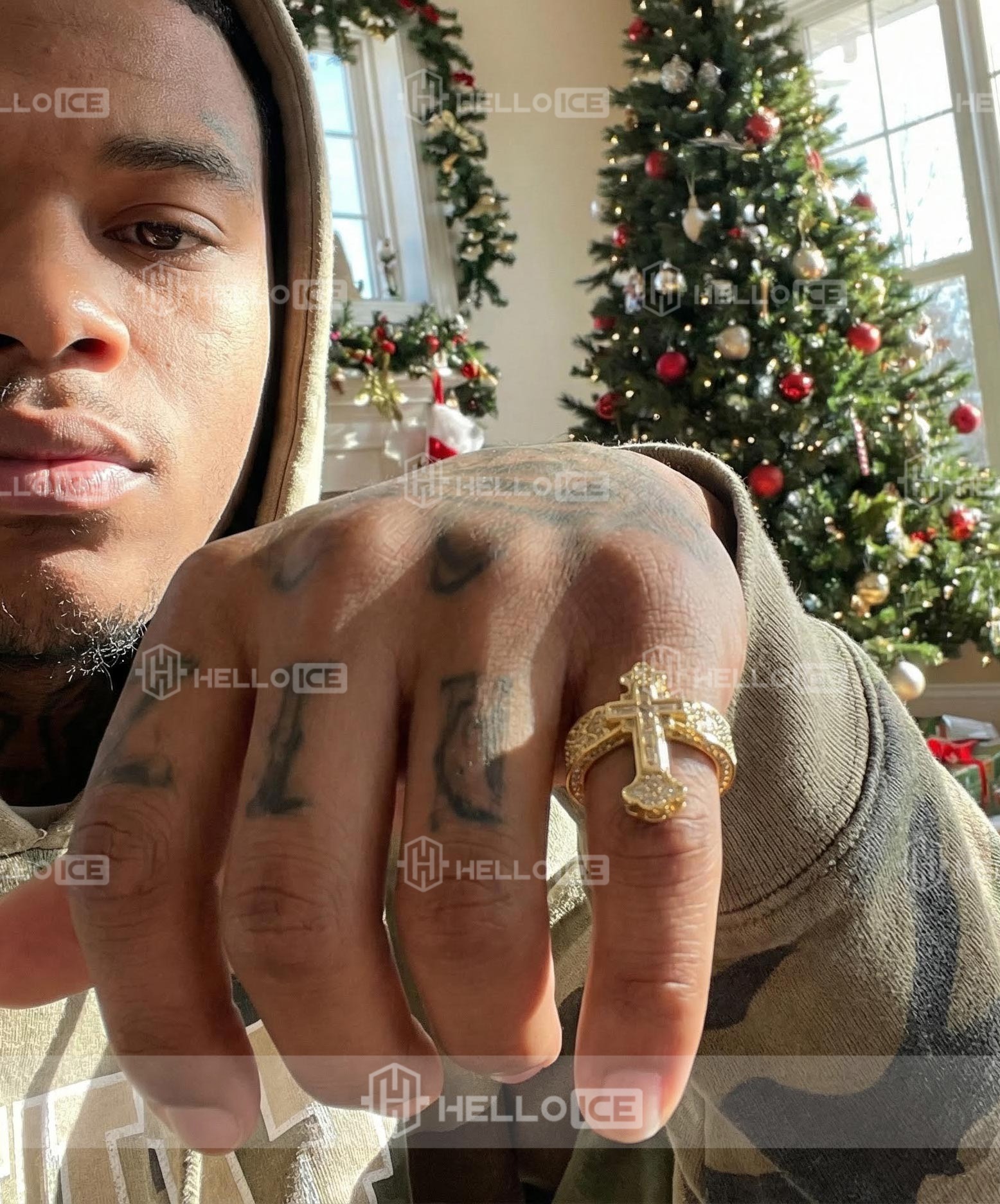 Helloice Review Image