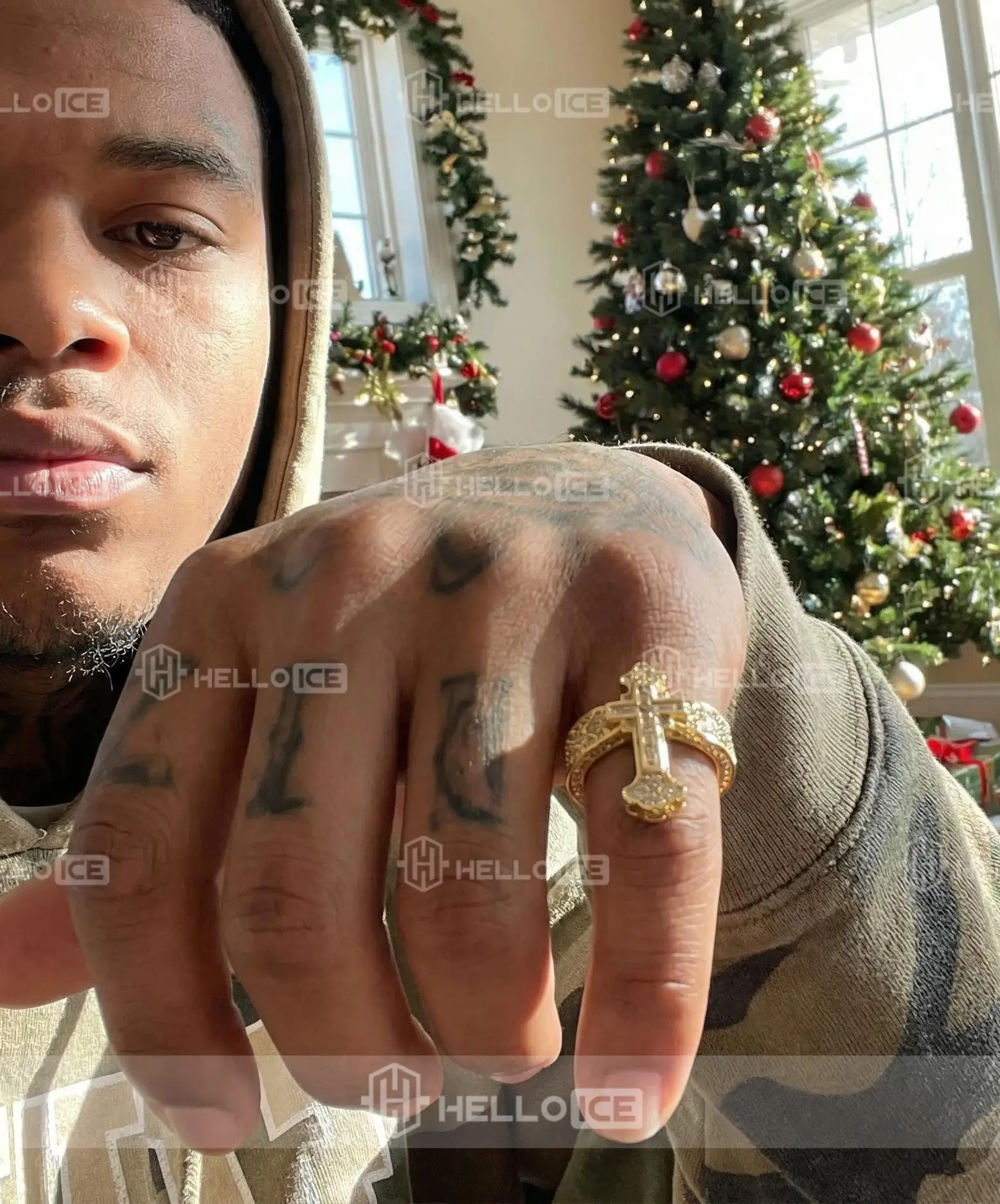 Helloice Review Image