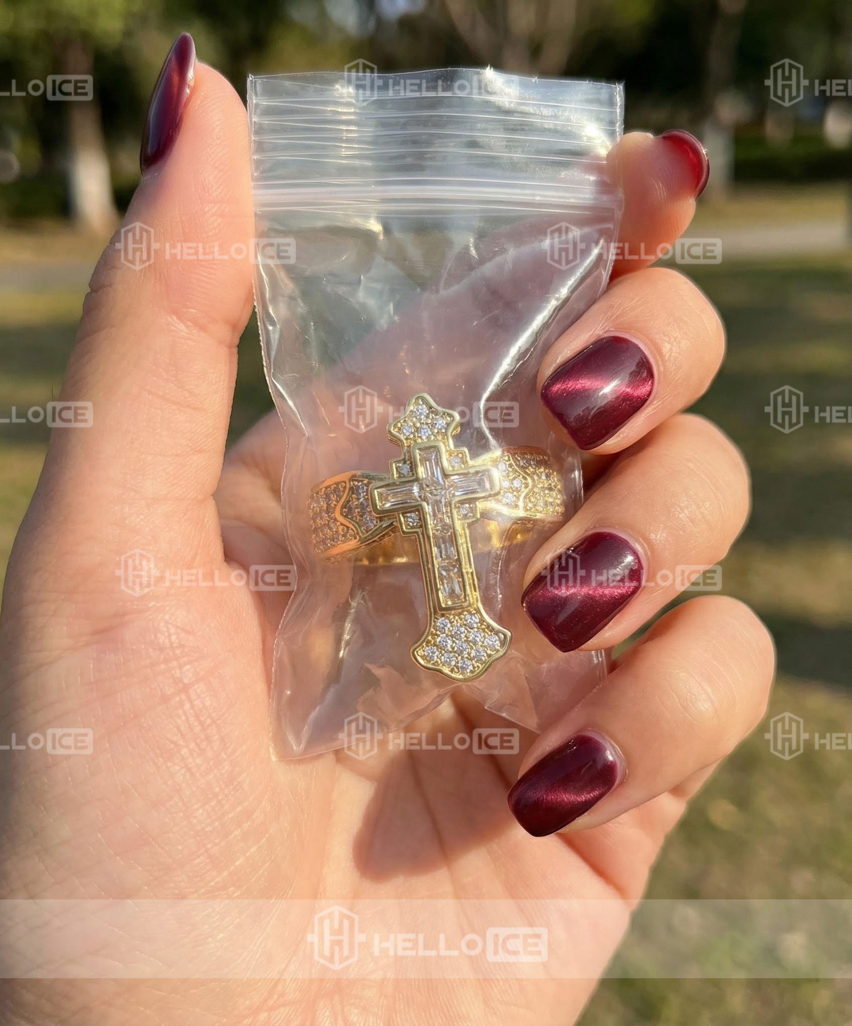 Helloice Review Image