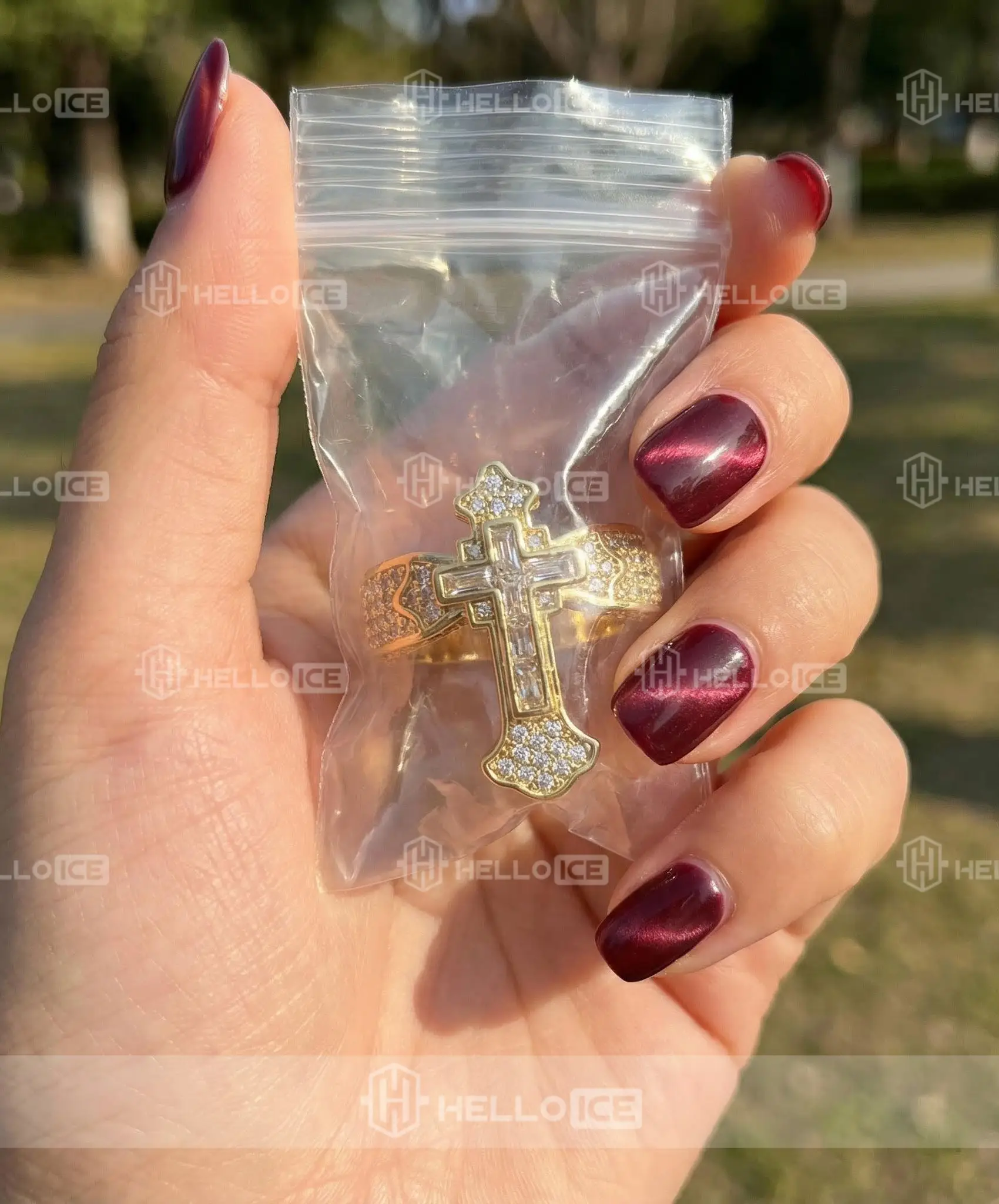 Helloice Review Image