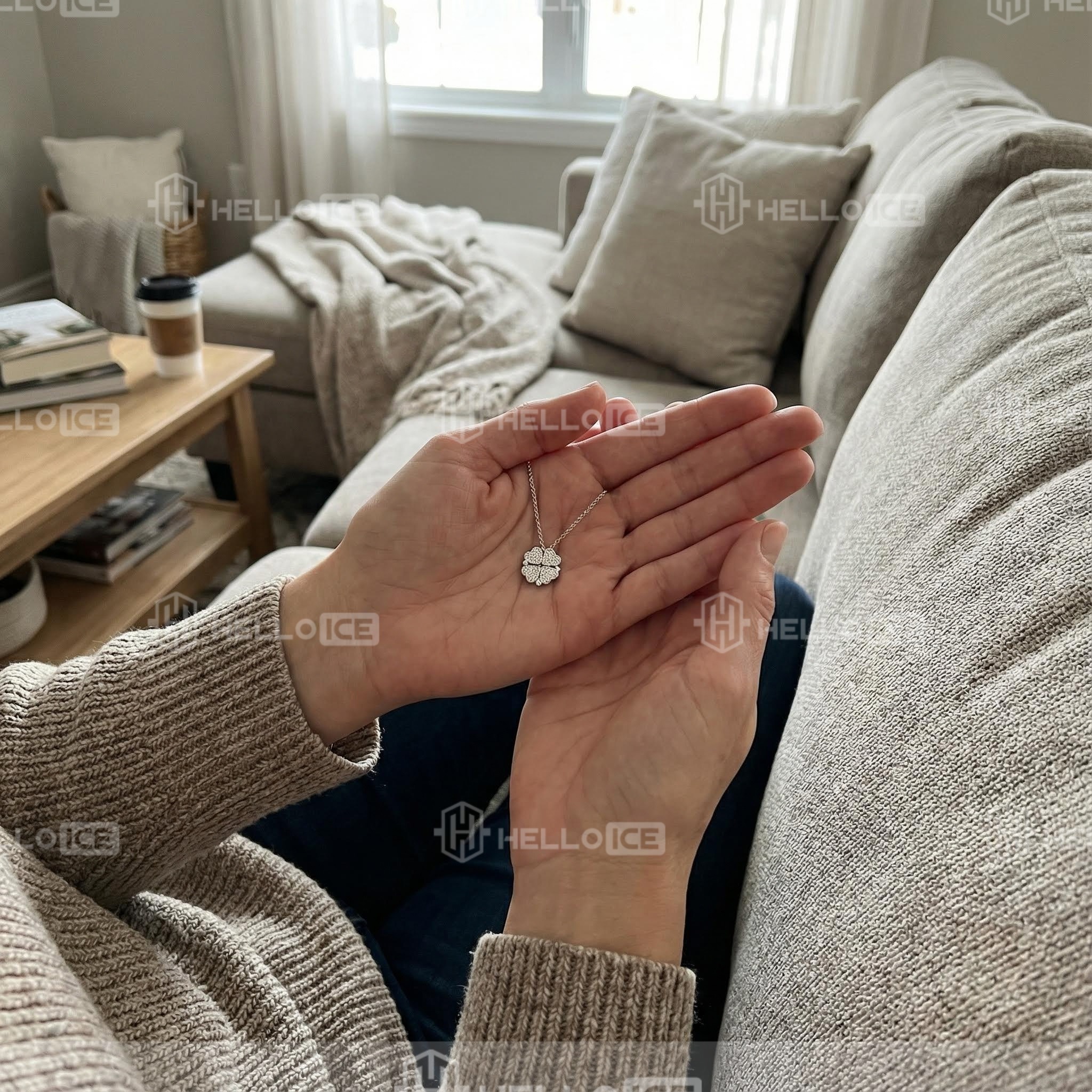 Helloice Review Image