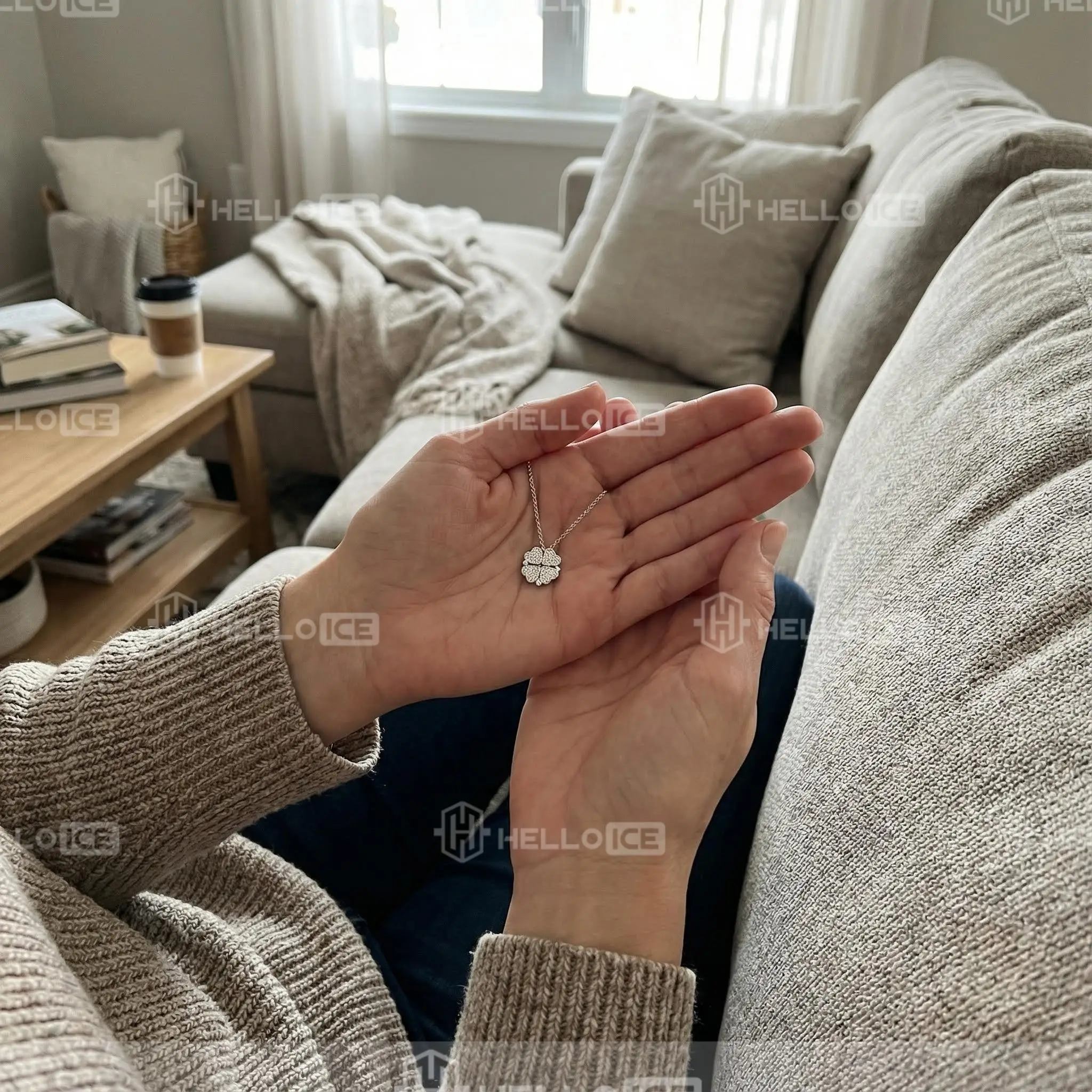 Helloice Review Image