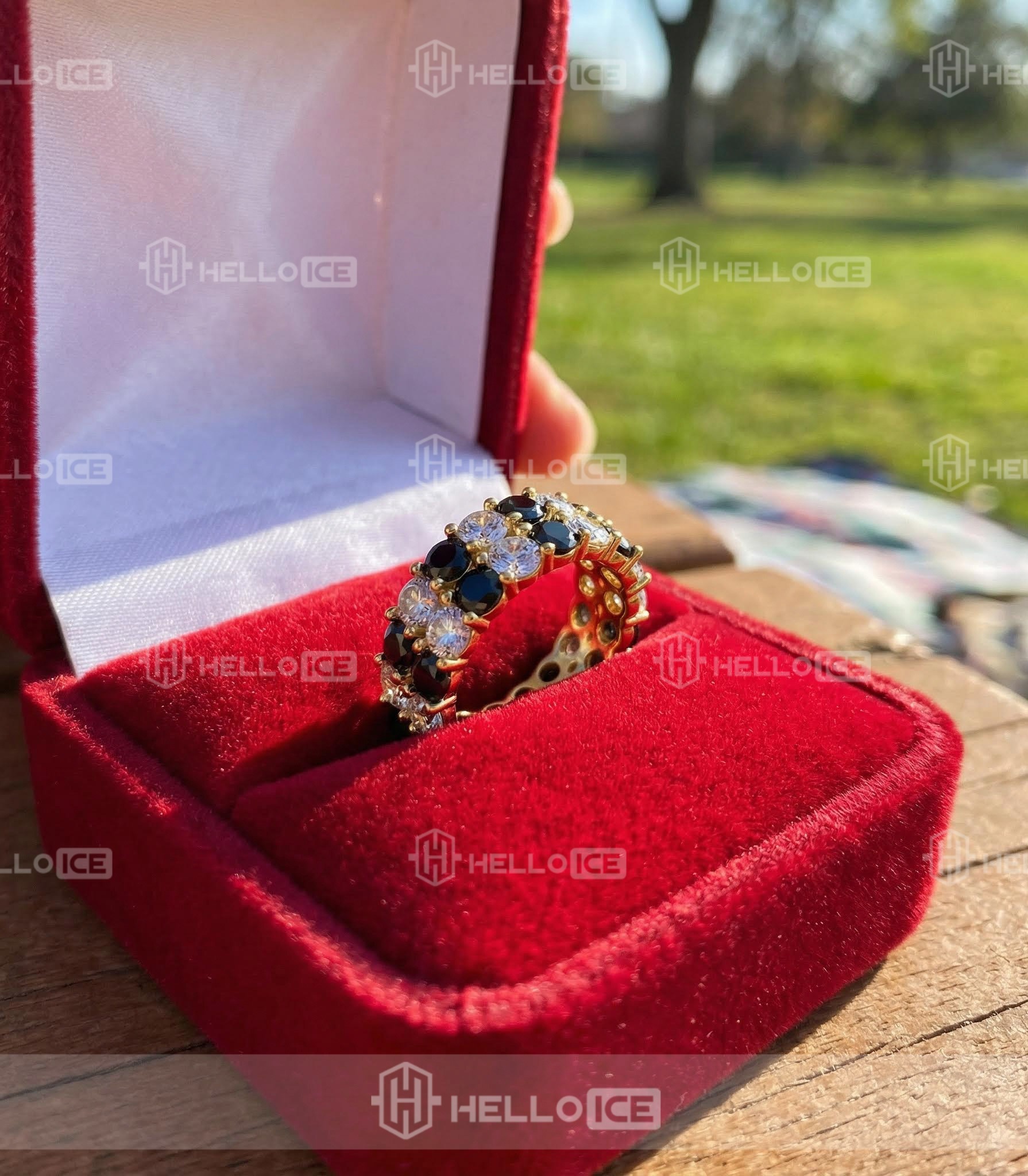 Helloice Review Image