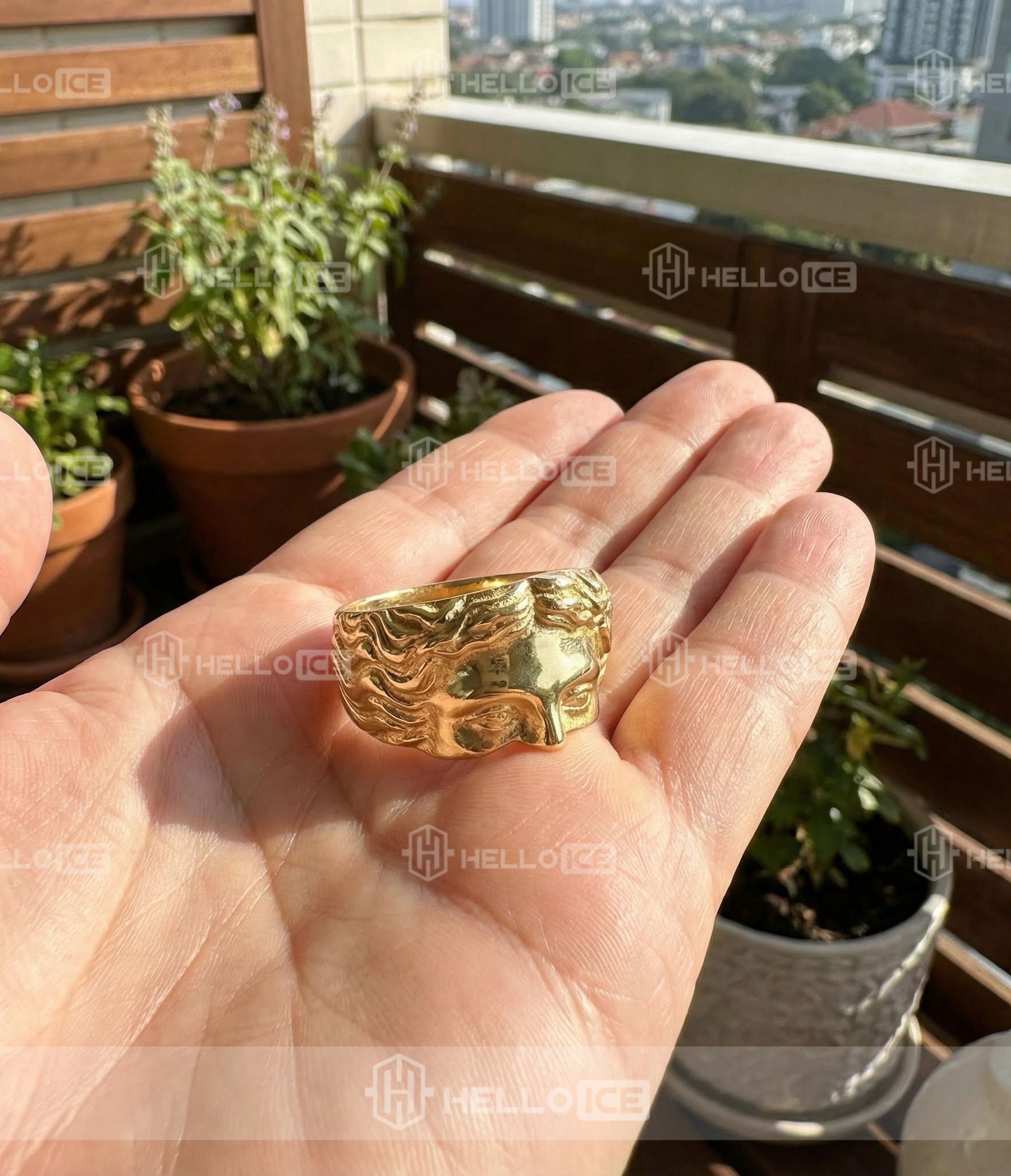 Helloice Review Image