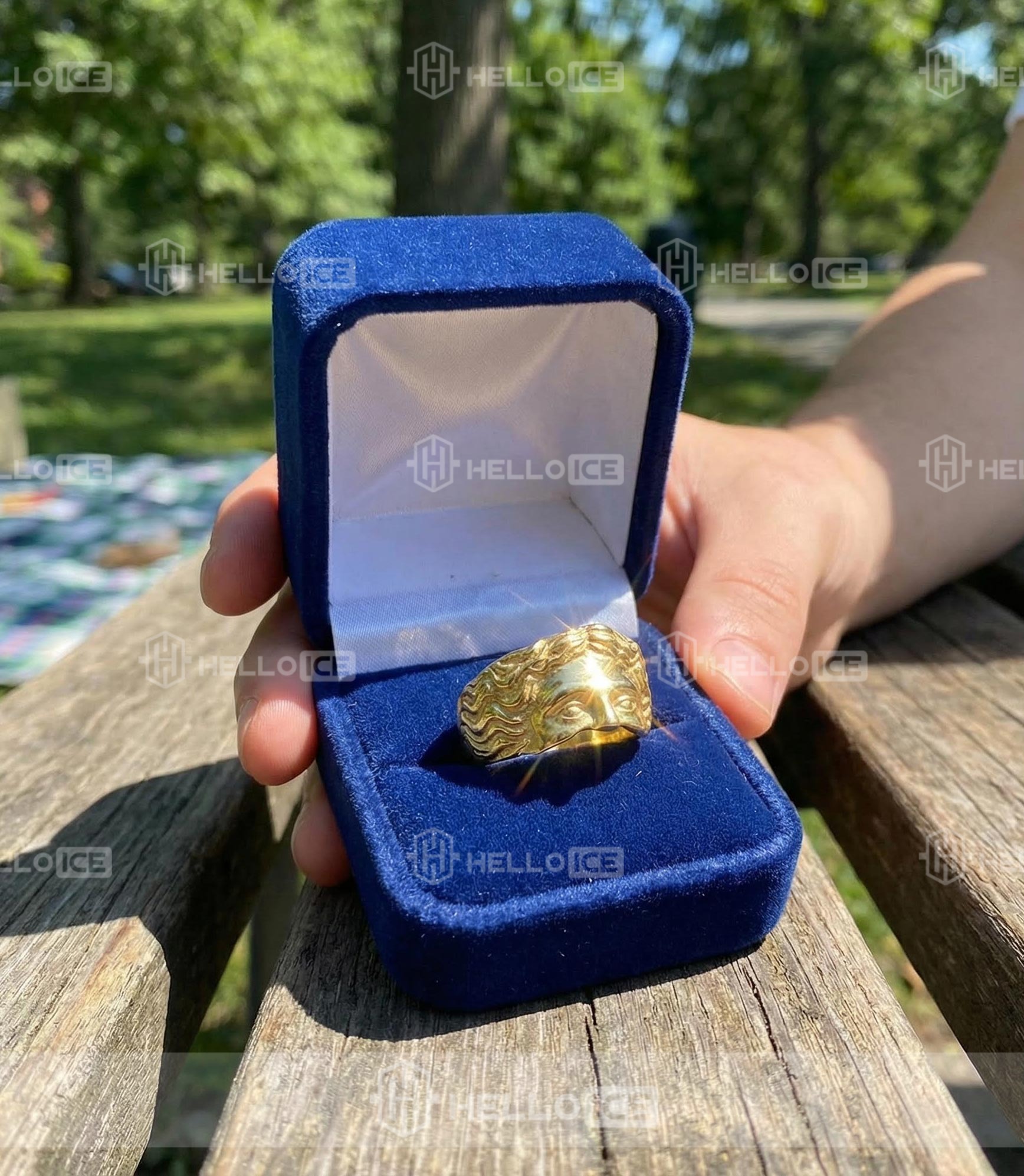 Helloice Review Image