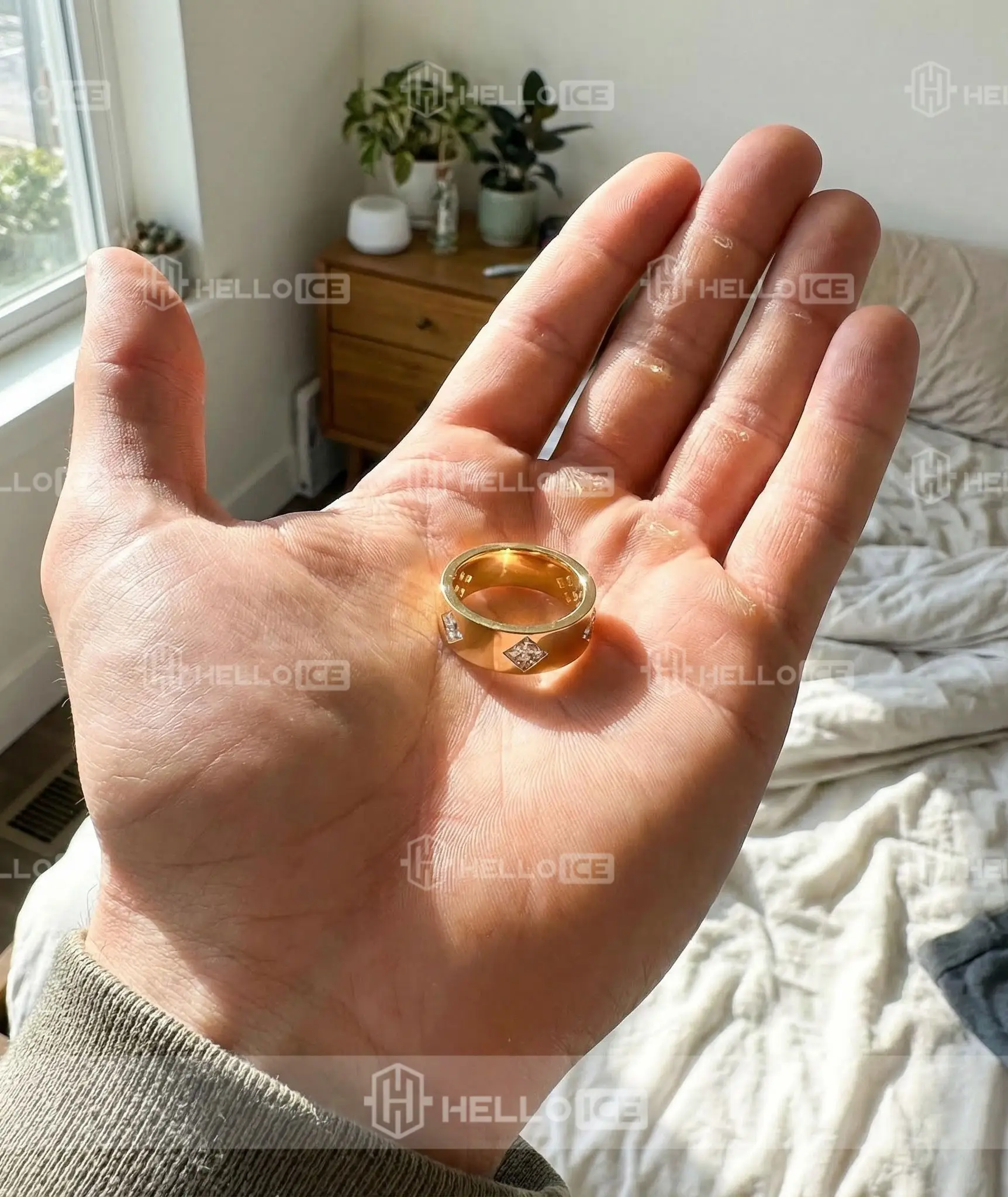 Helloice Review Image