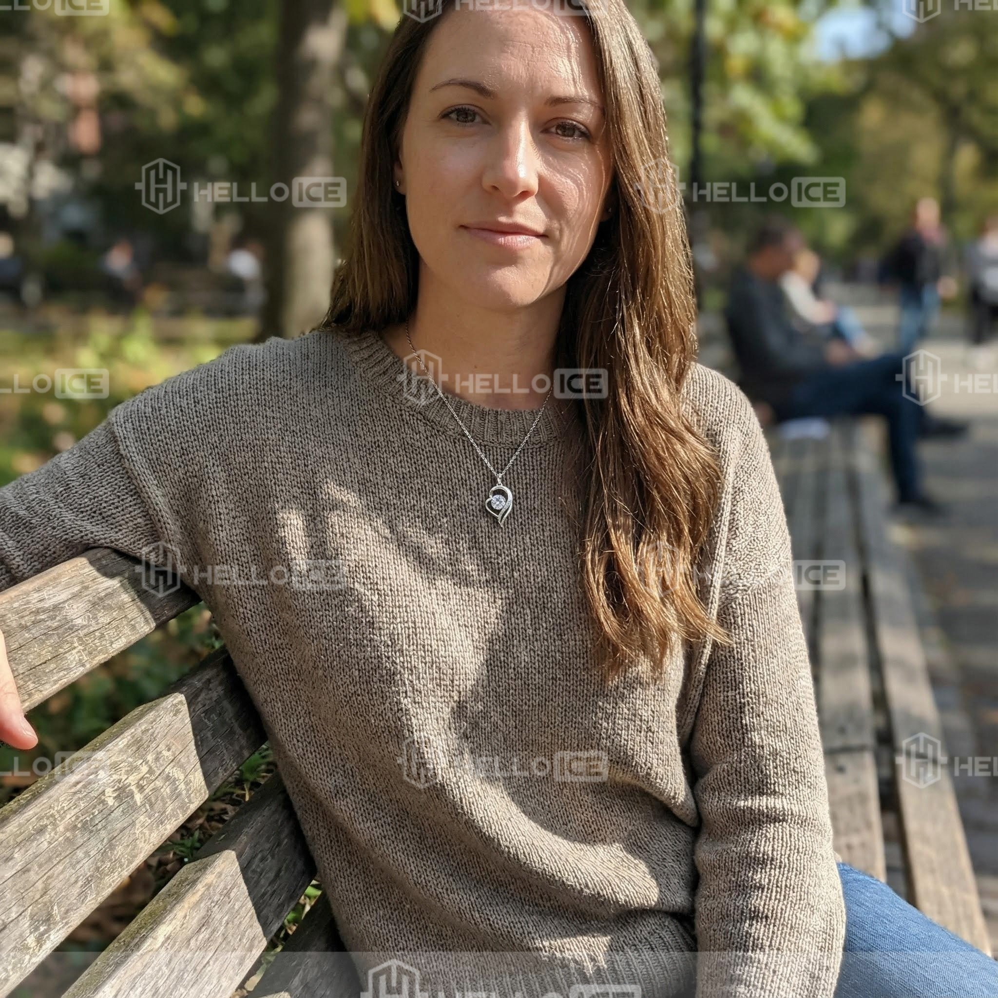 Helloice Review Image