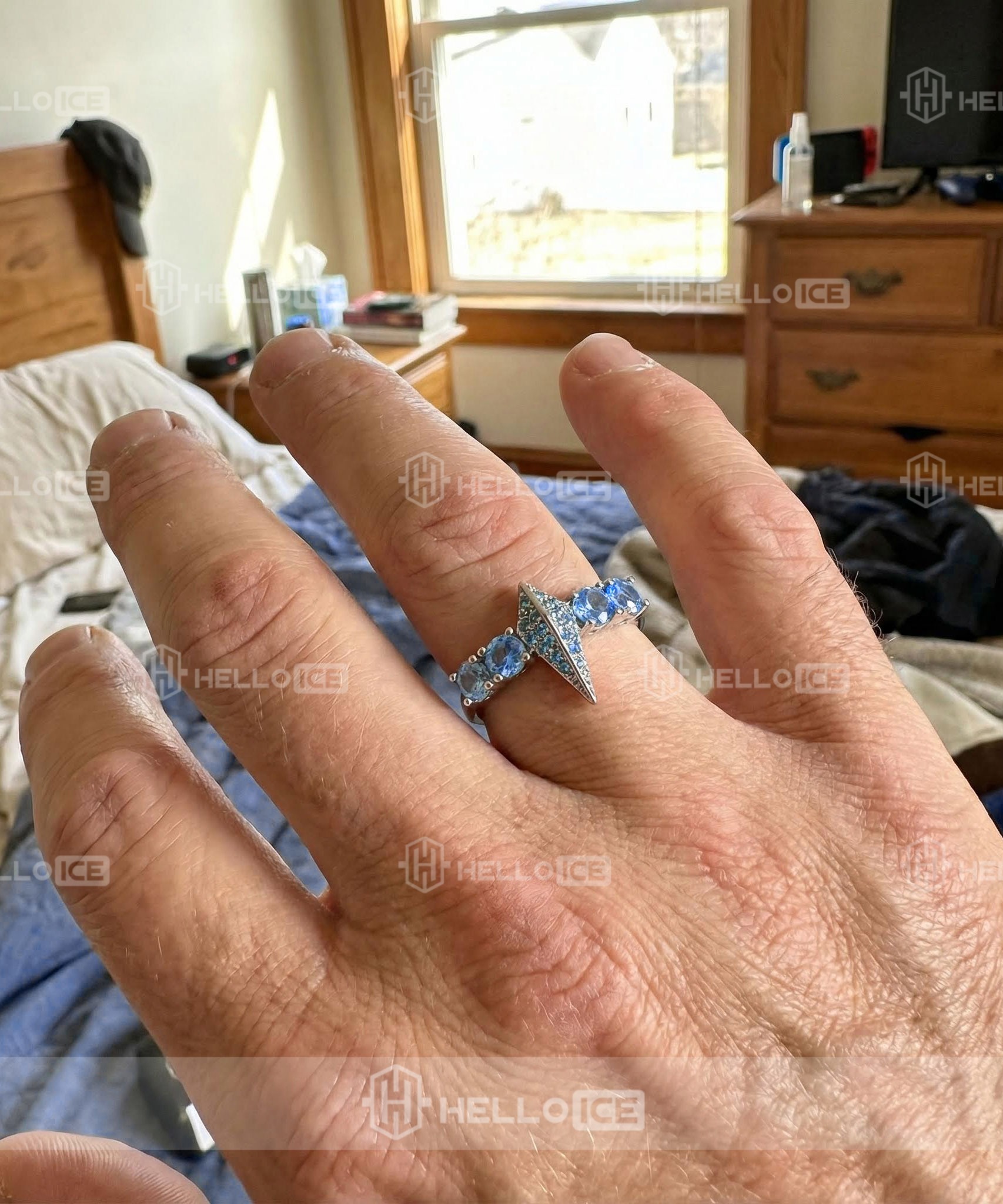 Helloice Review Image