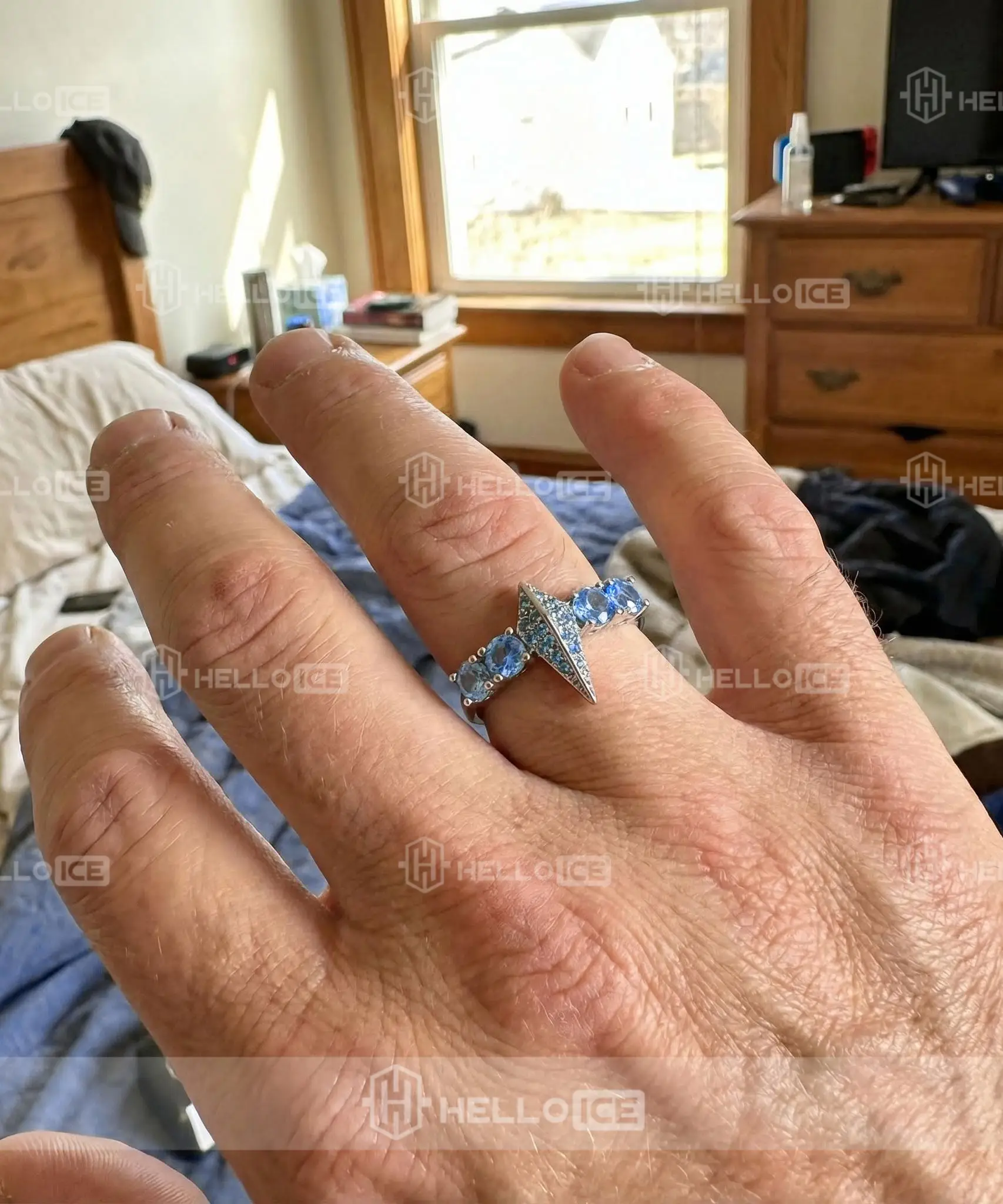 Helloice Review Image