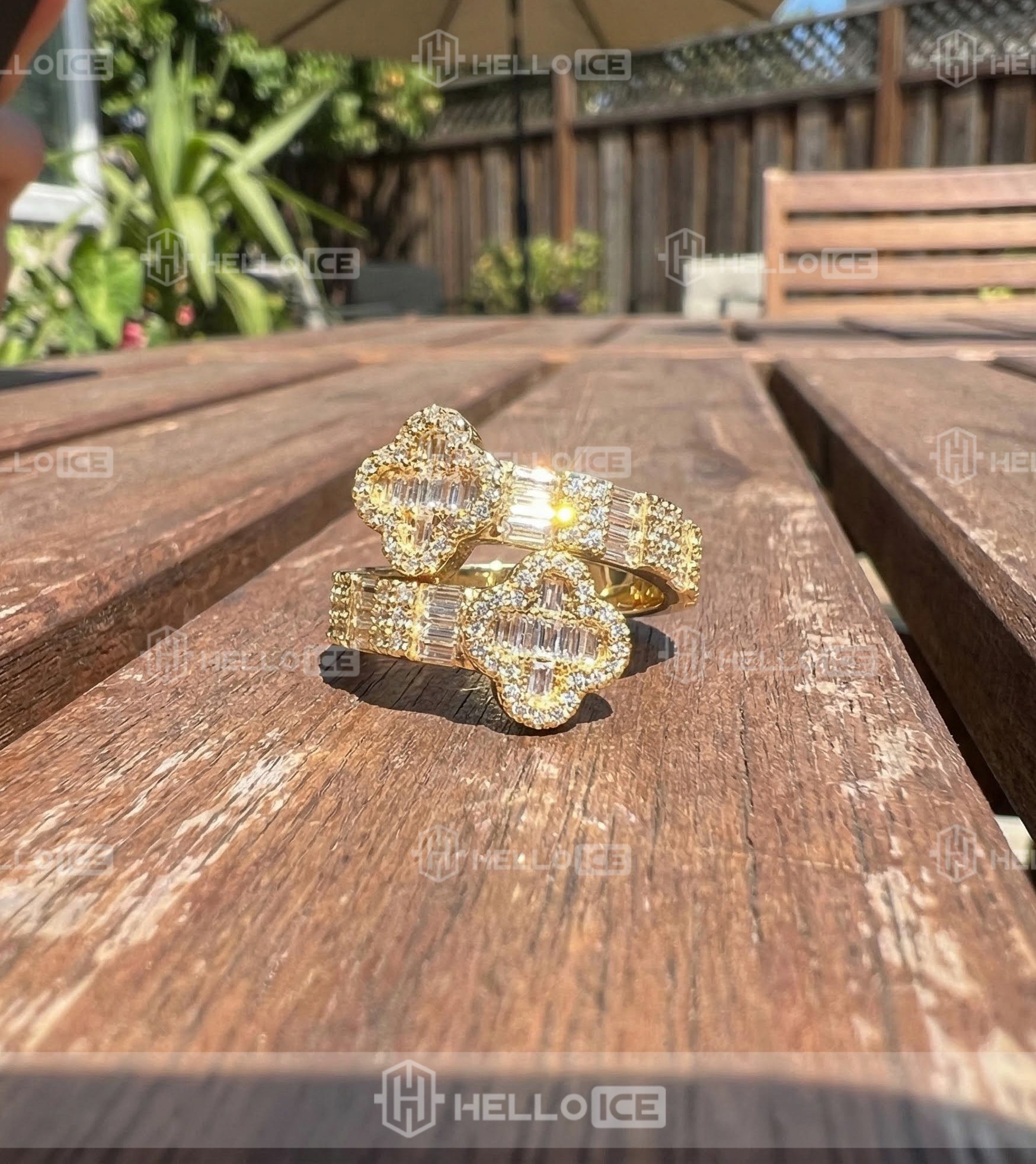 Helloice Review Image