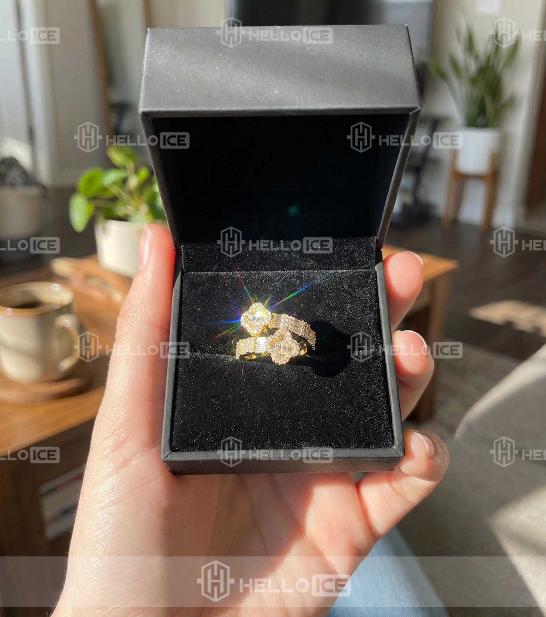 Helloice Review Image