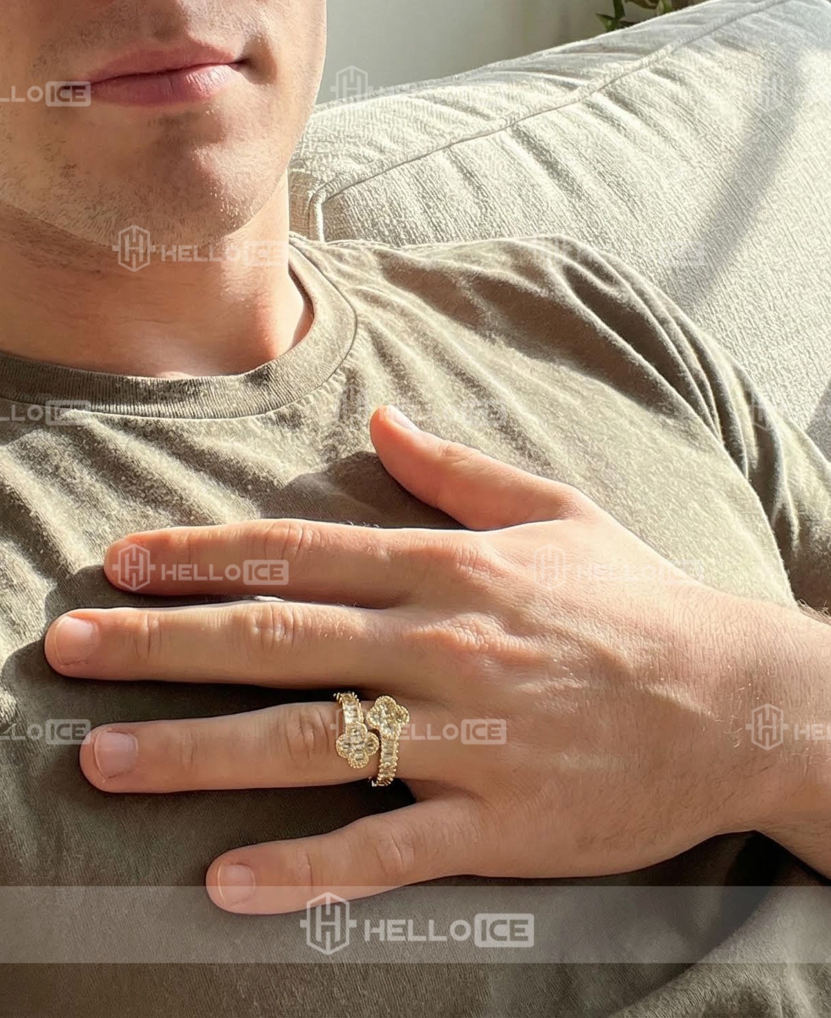 Helloice Review Image