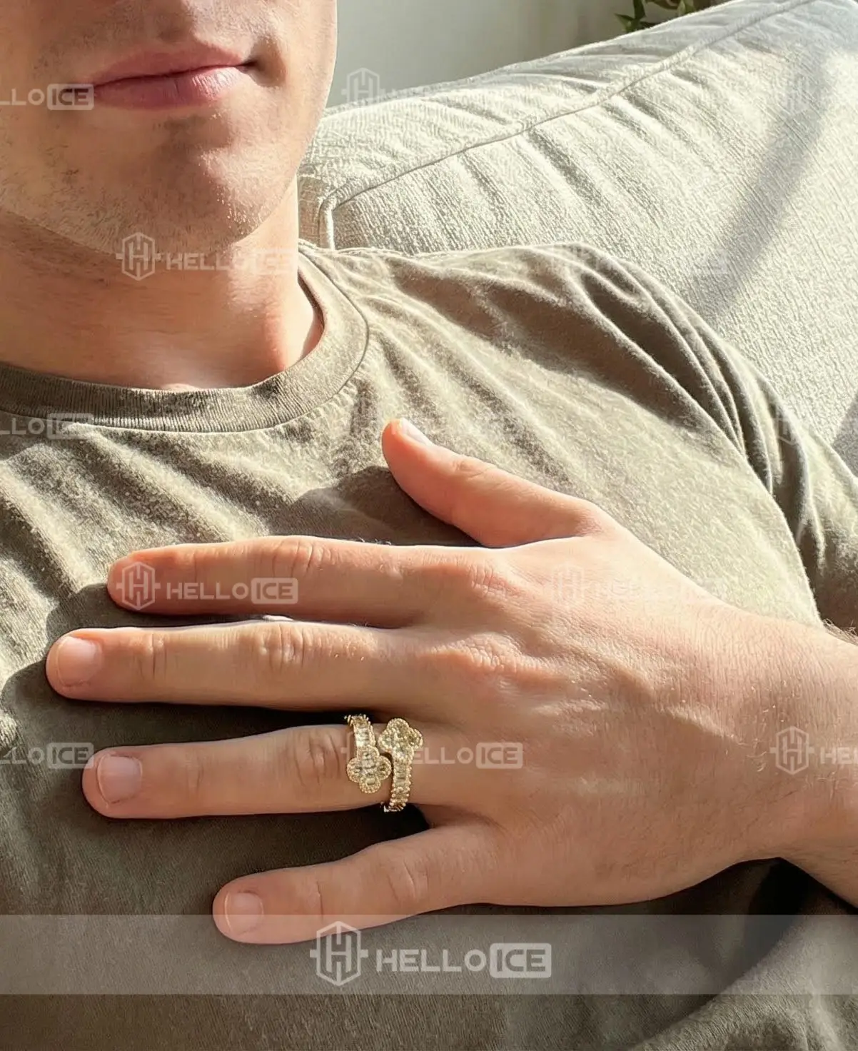 Helloice Review Image