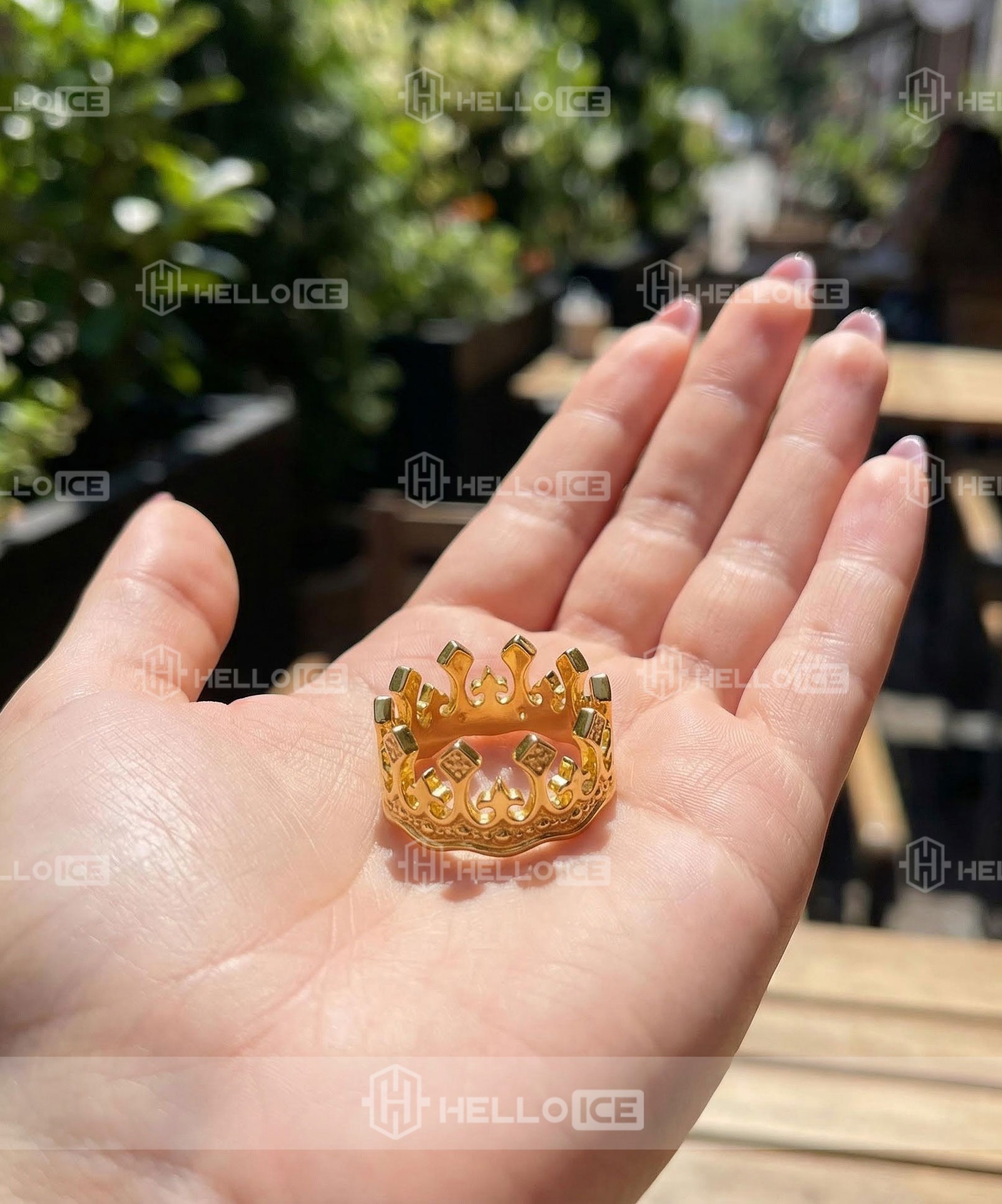 Helloice Review Image