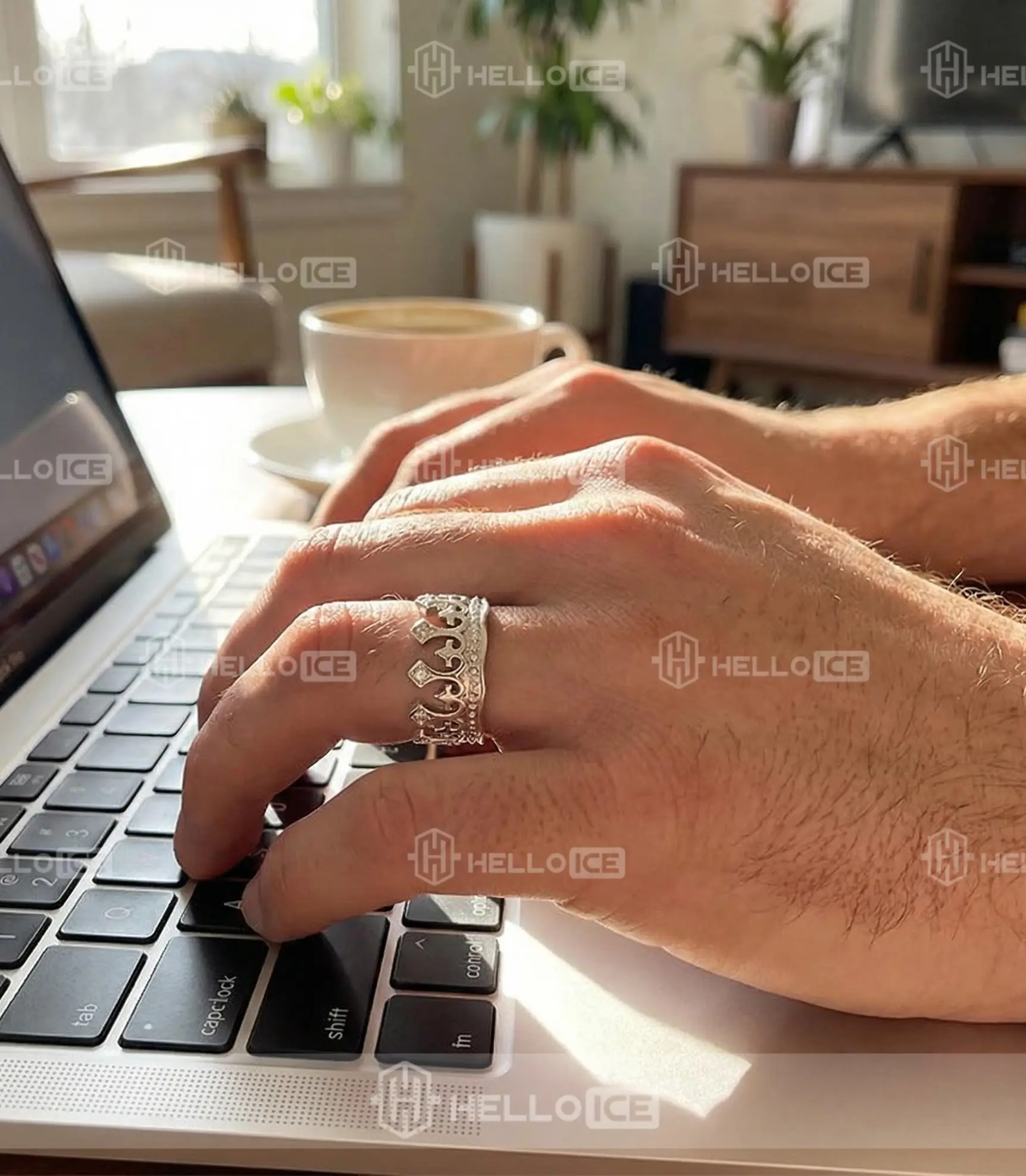 Helloice Review Image