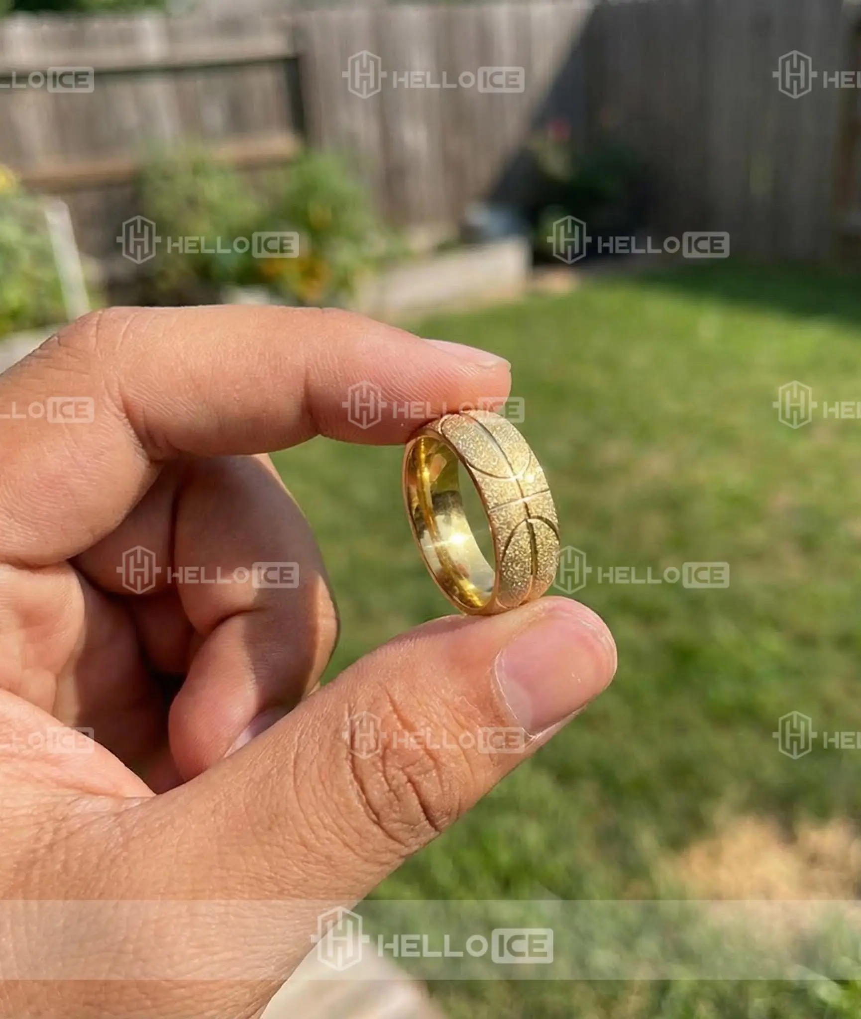 Helloice Review Image