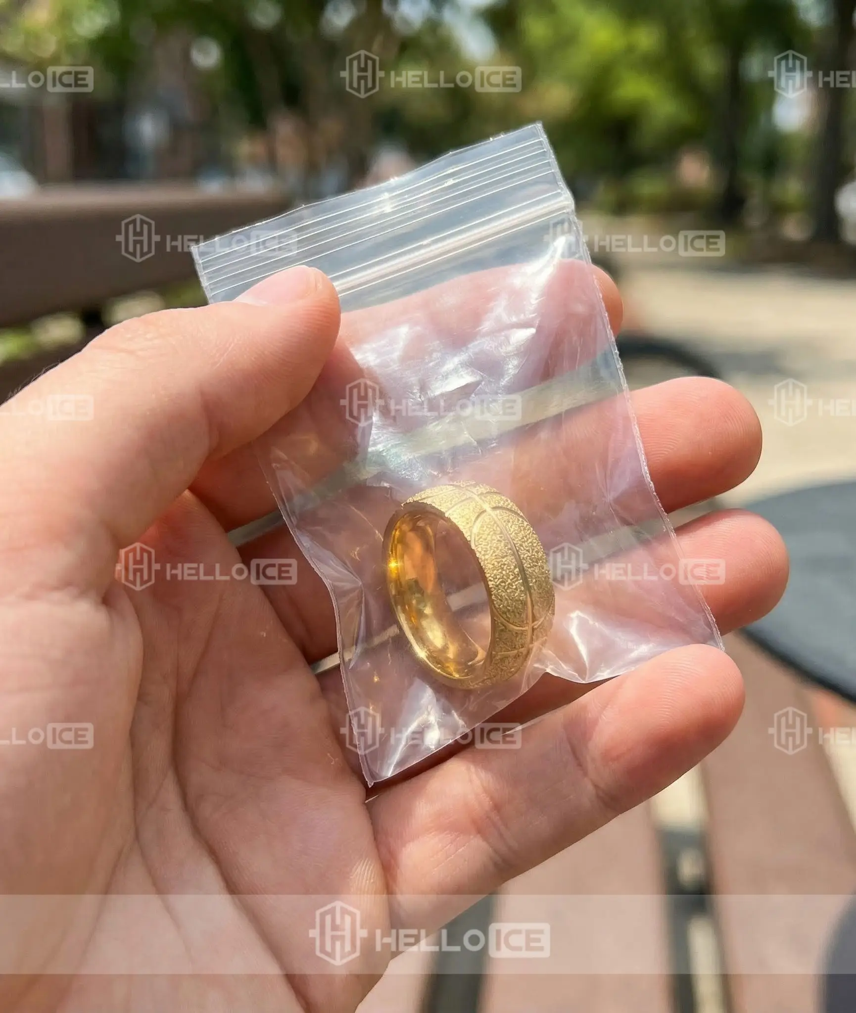 Helloice Review Image