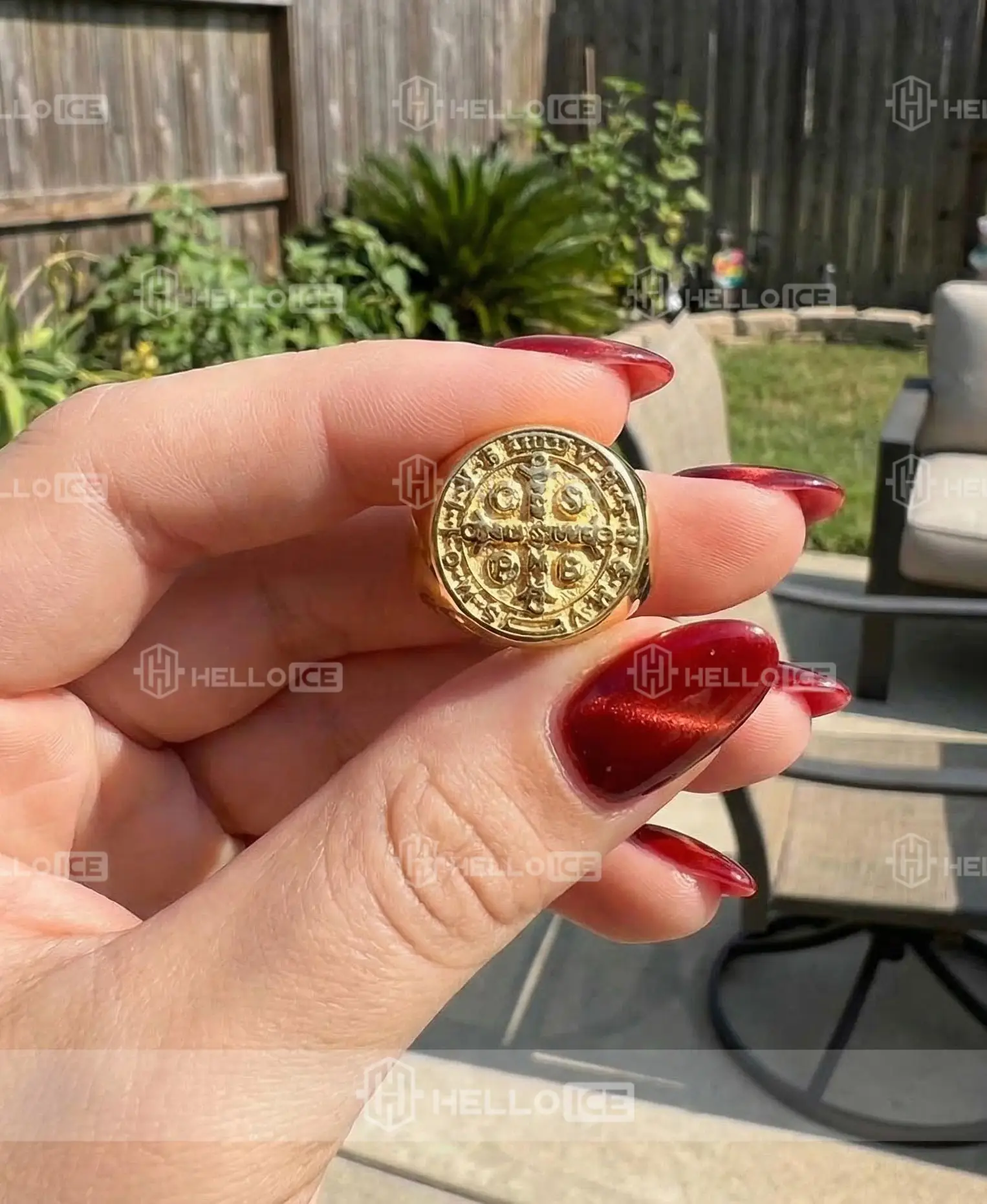 Helloice Review Image