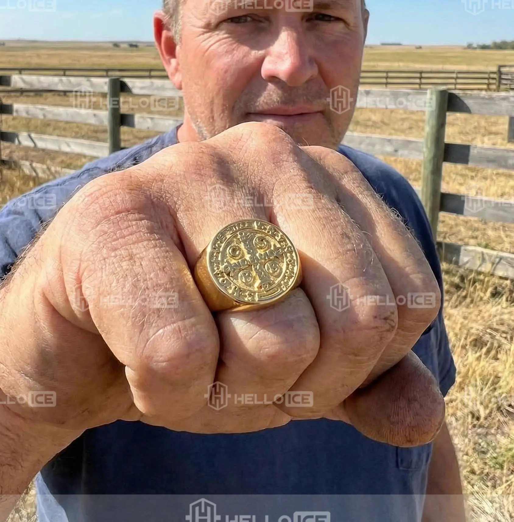 Helloice Review Image