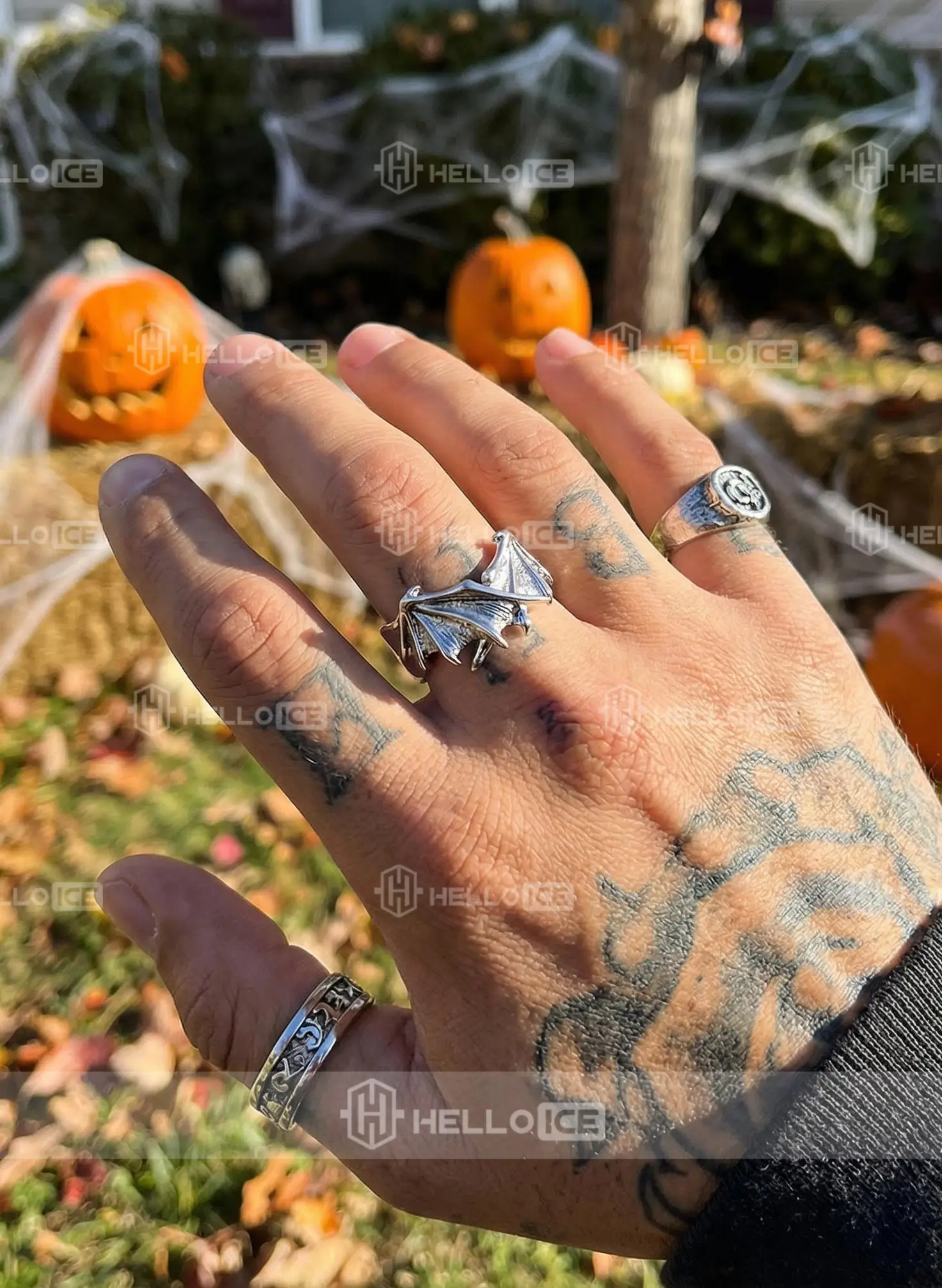 Helloice Review Image