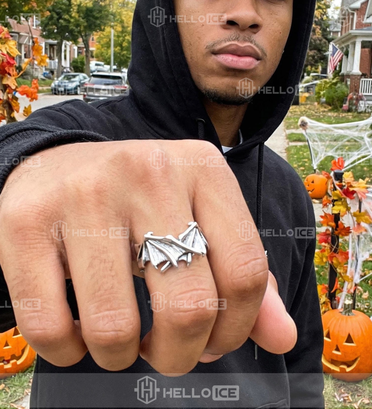 Helloice Review Image