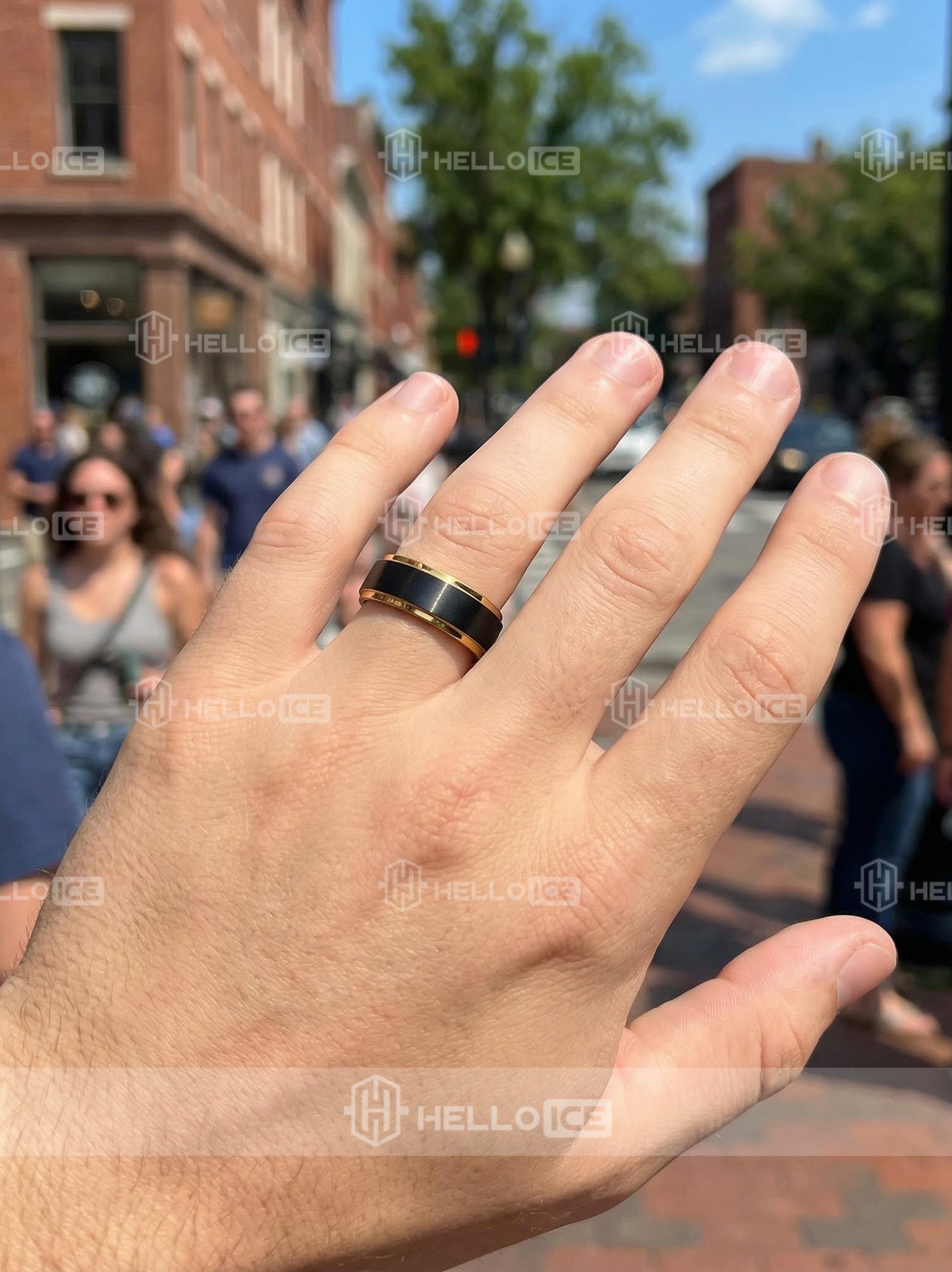 Helloice Review Image