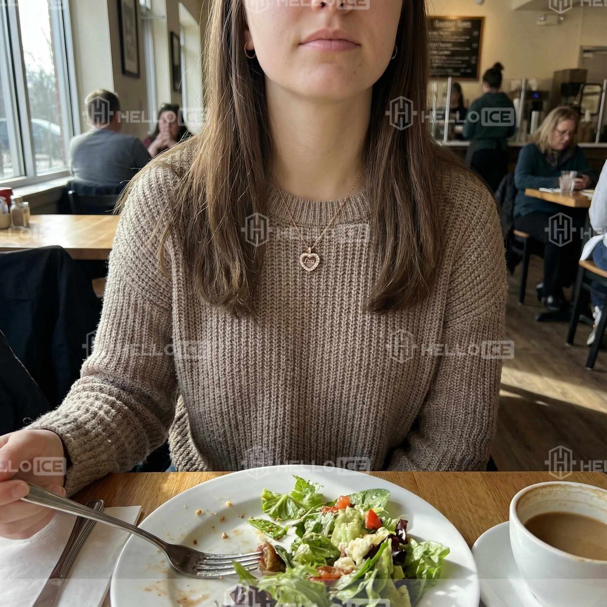 Helloice Review Image