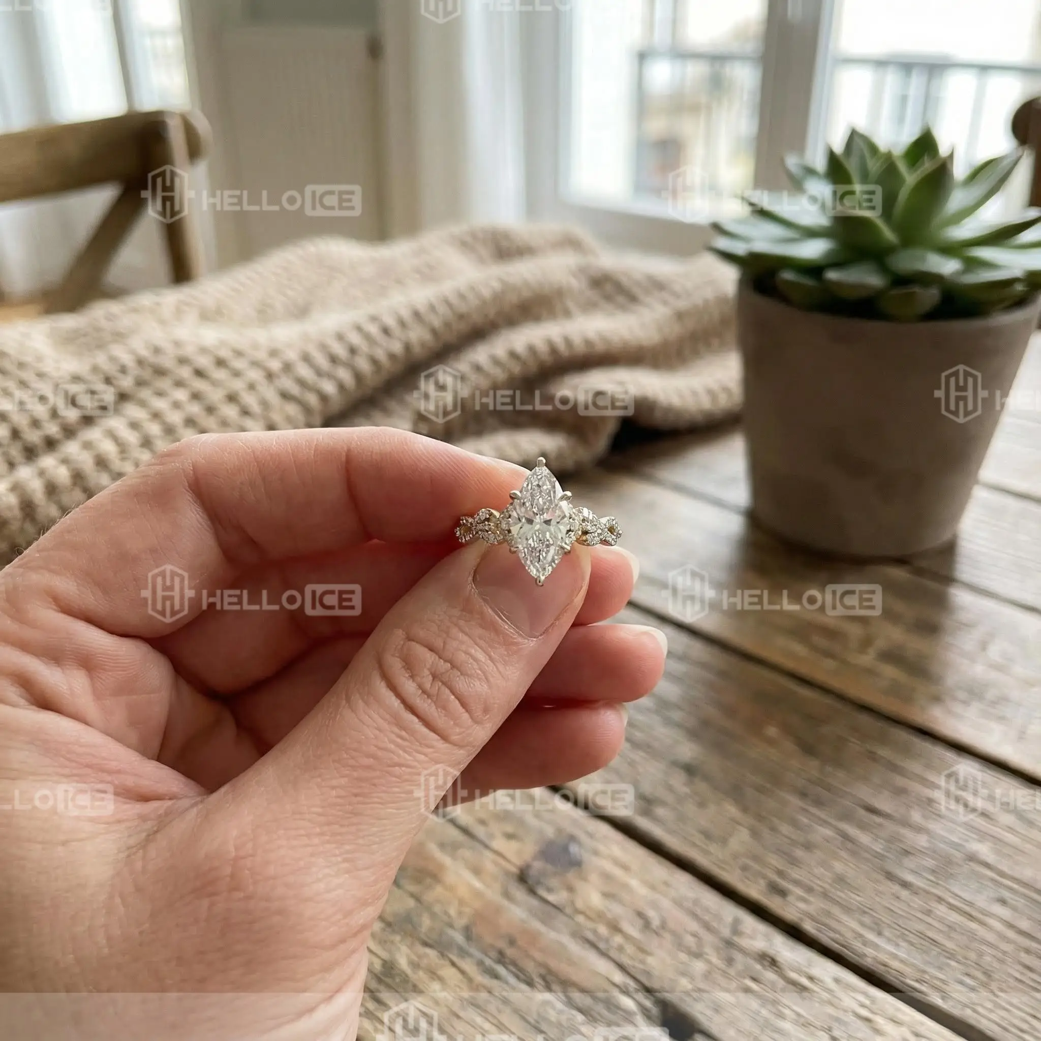 Helloice Review Image