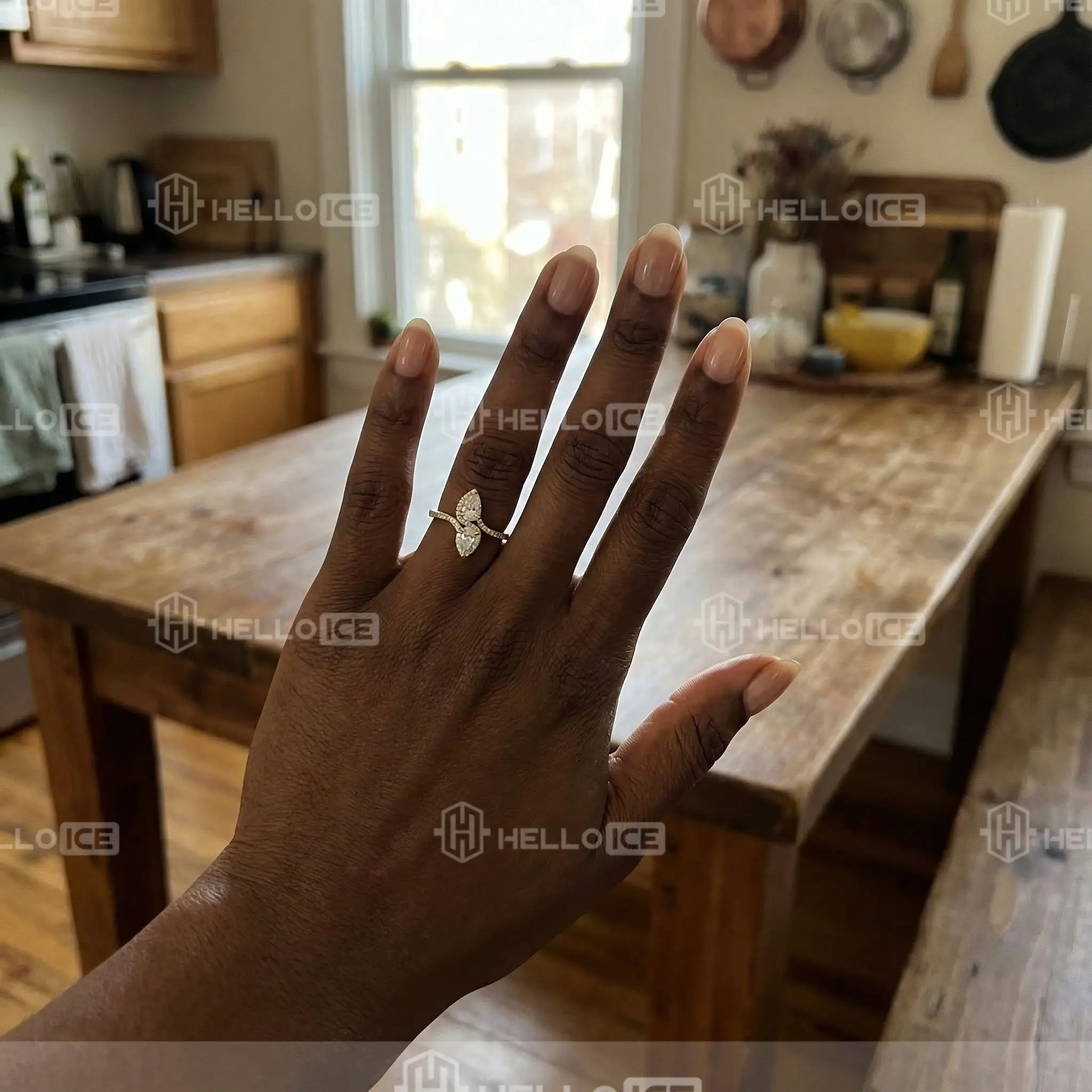 Helloice Review Image