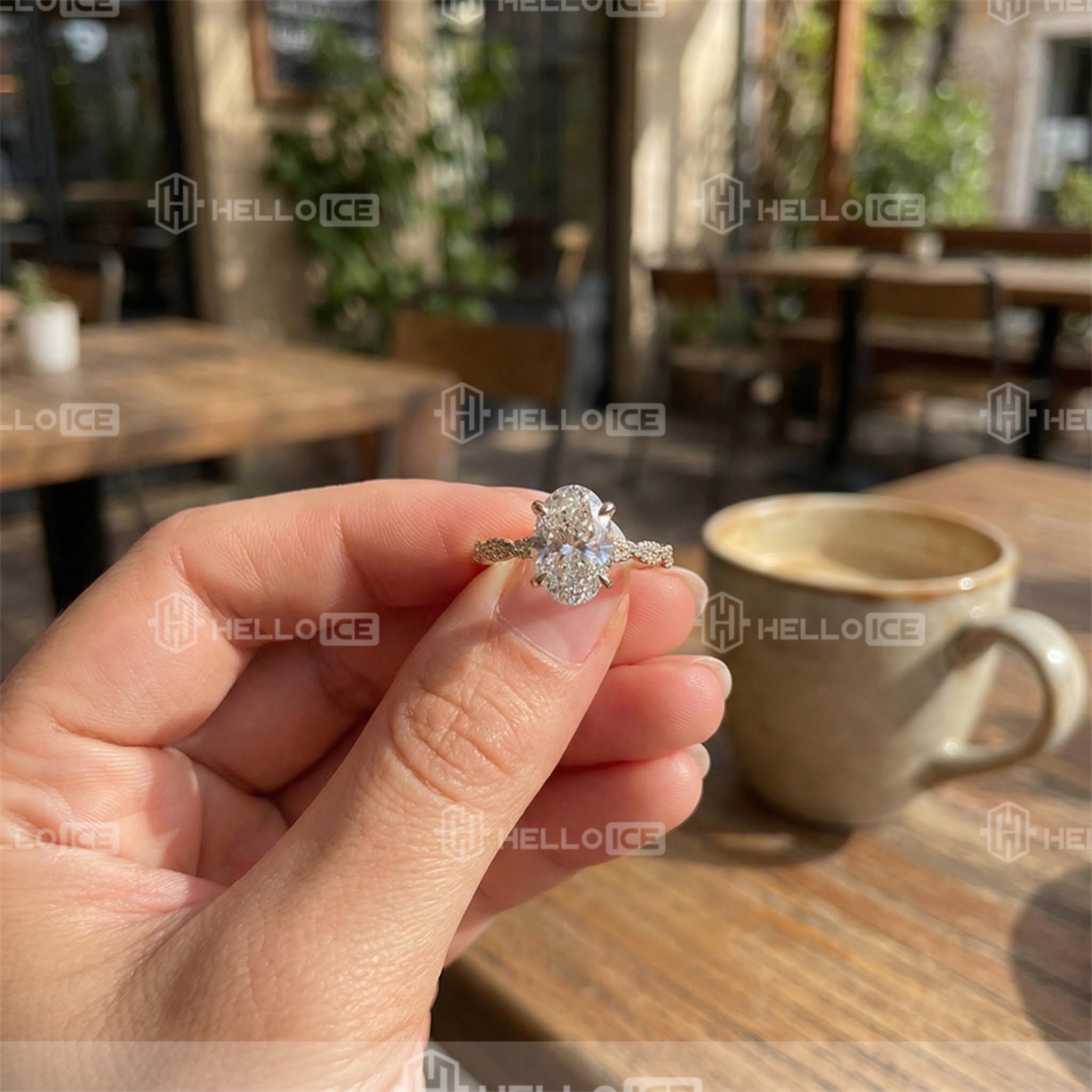 Helloice Review Image