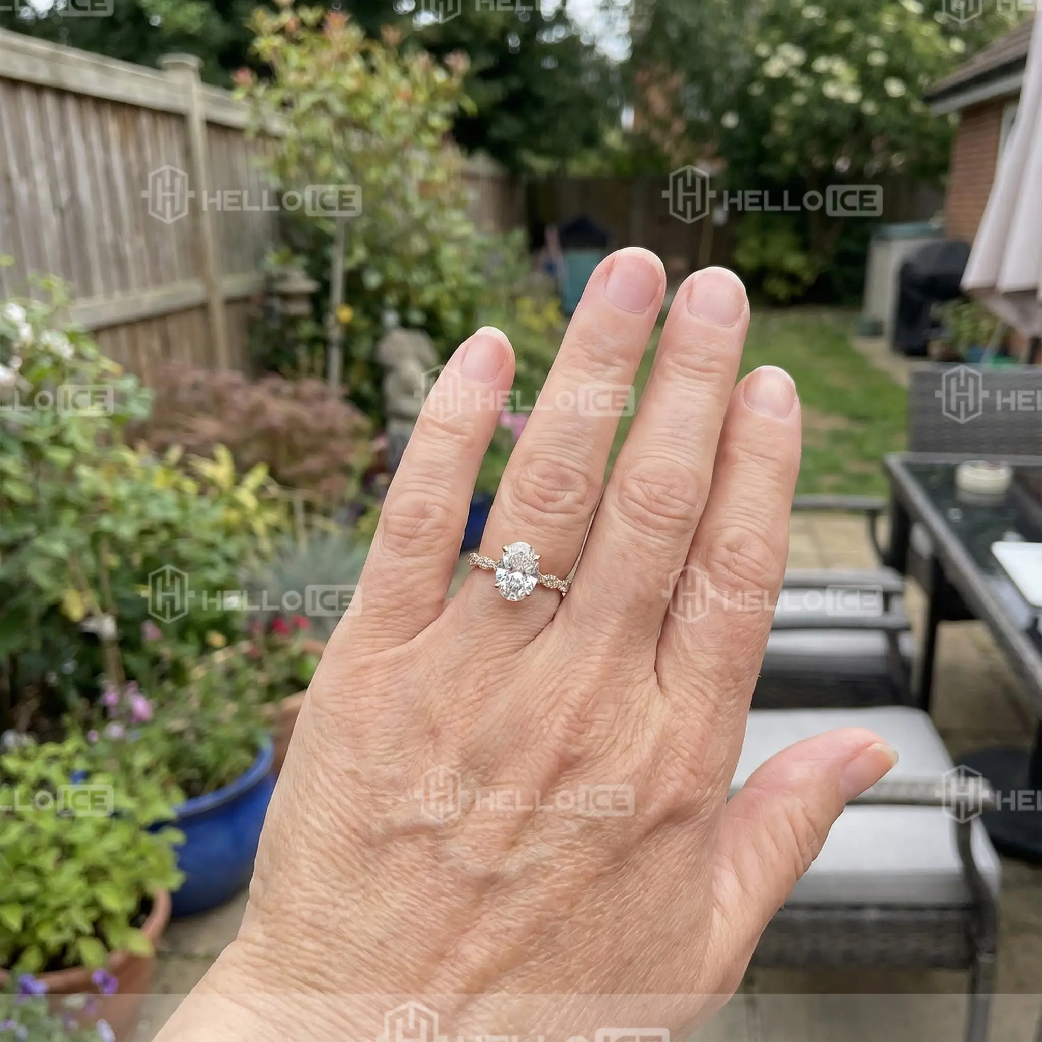 Helloice Review Image